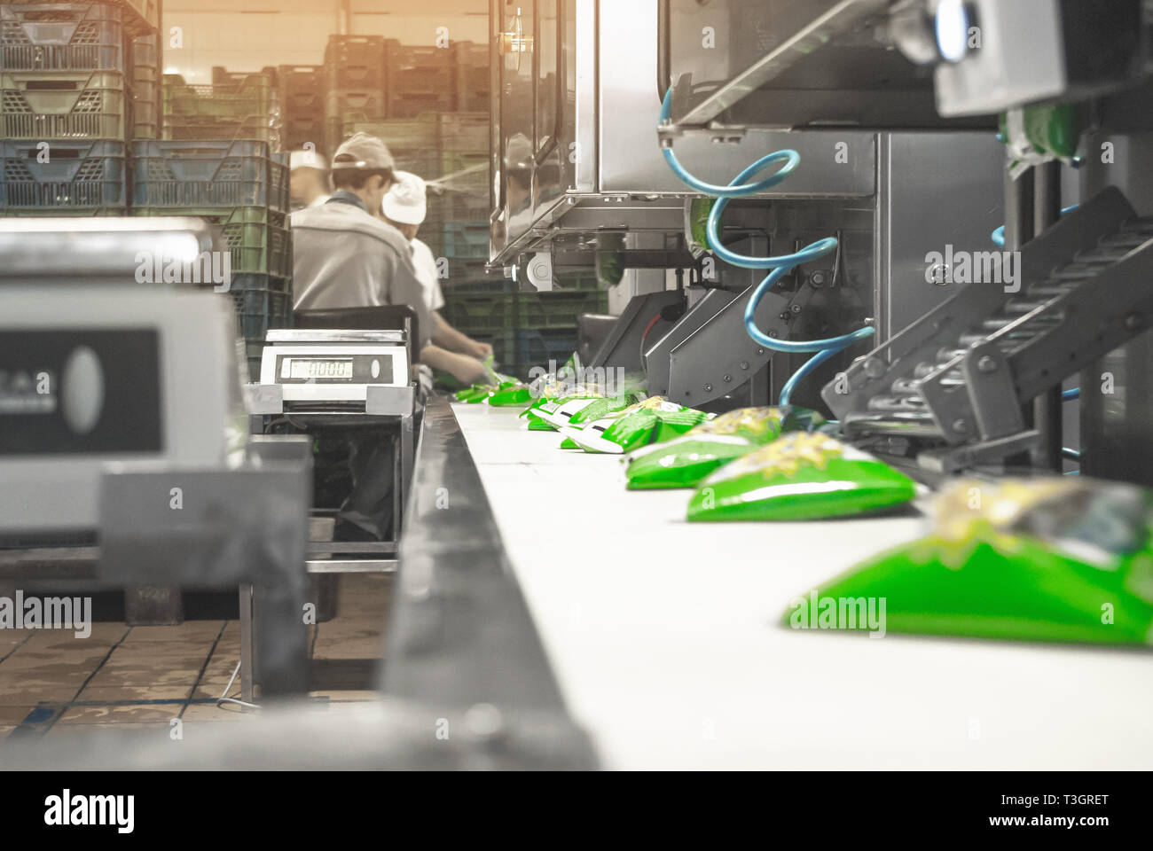 Conveyor belt for a dairy factory, packing milk in bags Stock Photo Alamy