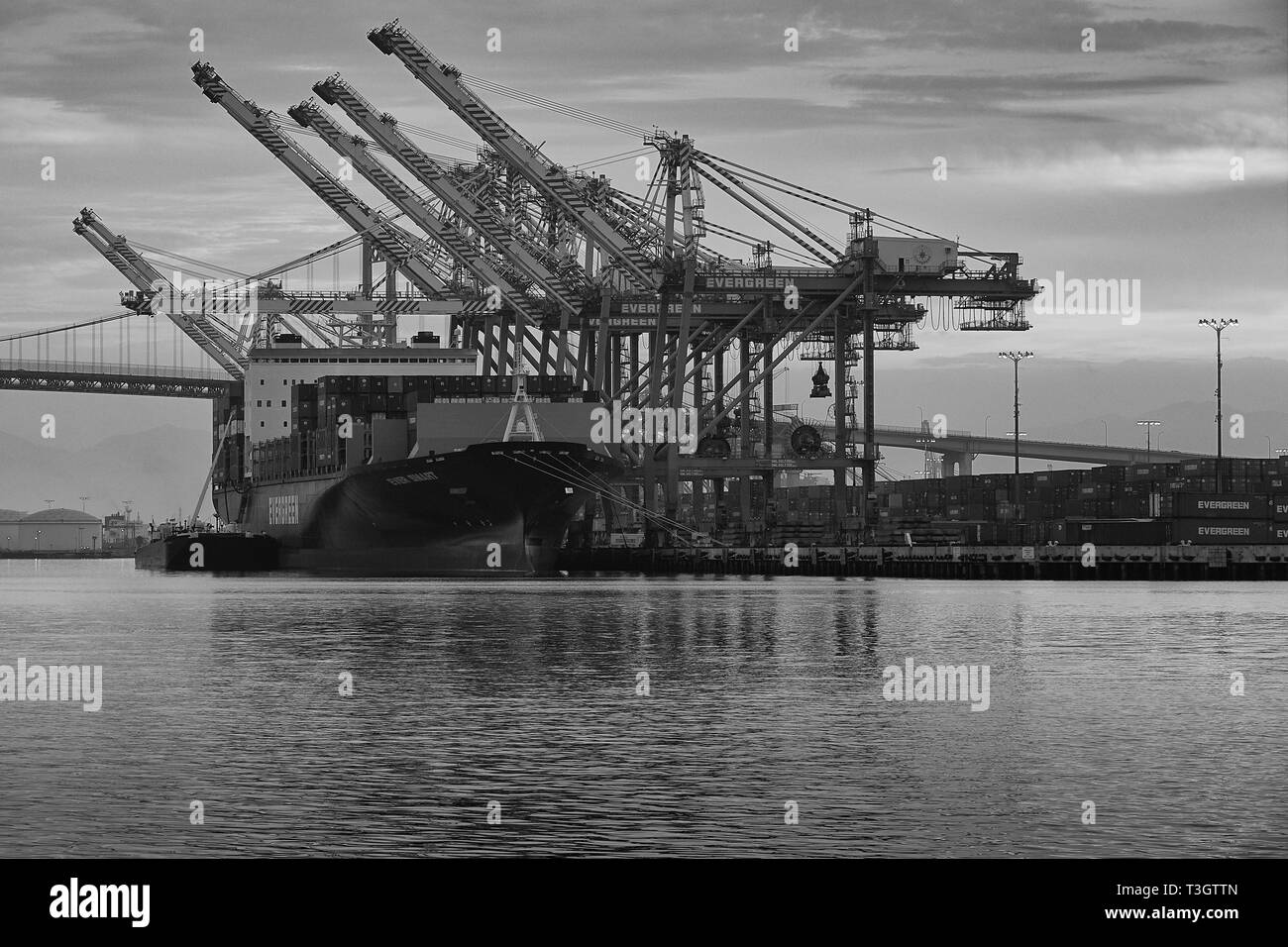 Black And White Photo Of Evergreen Container Ship, EVER SMART, Loading & Unloading In The Container Terminal At The Port of Los Angeles, California Stock Photo
