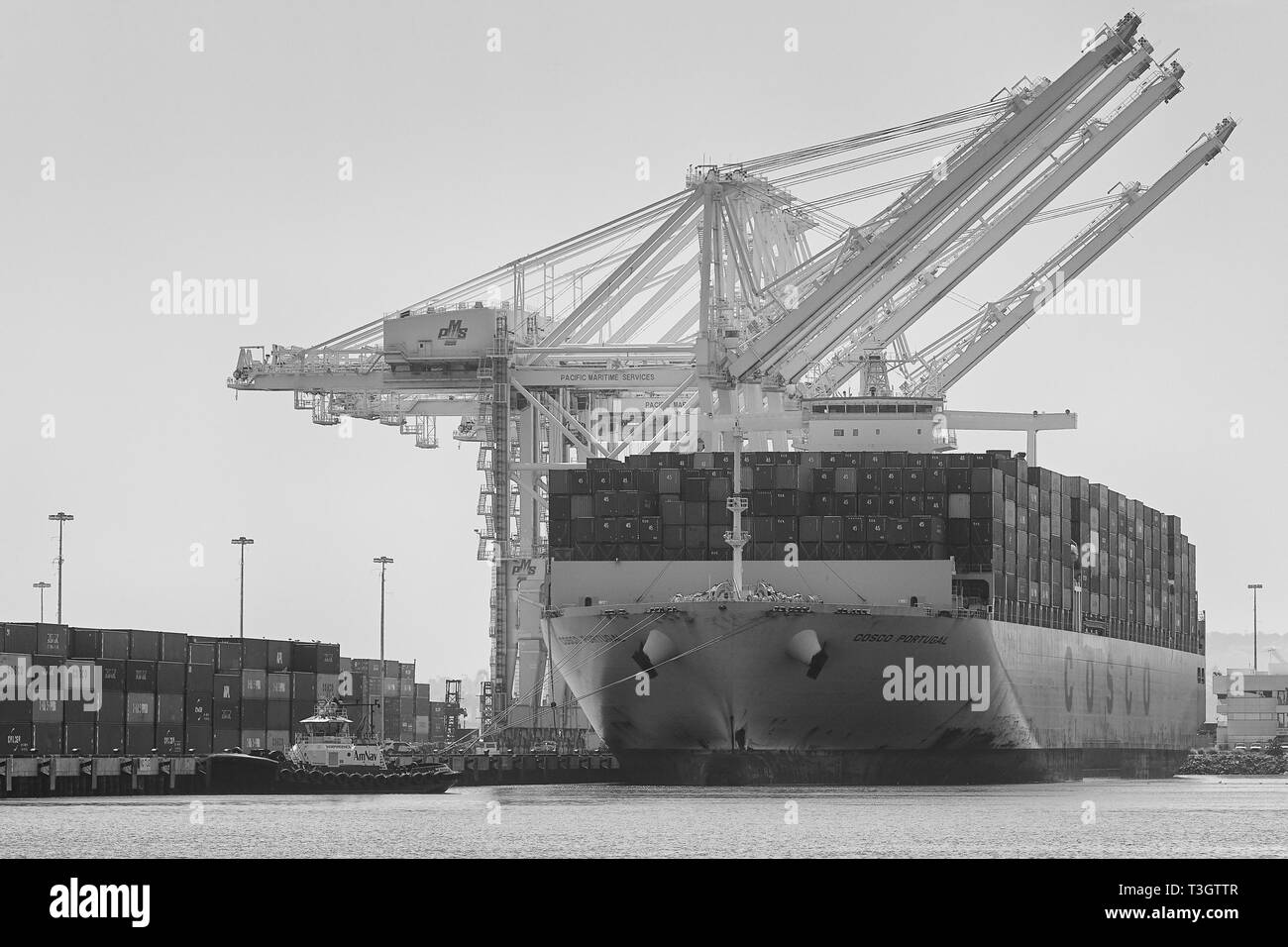 Black & White Photo Of The Giant COSCO SHIPPING Container Ship, COSCO