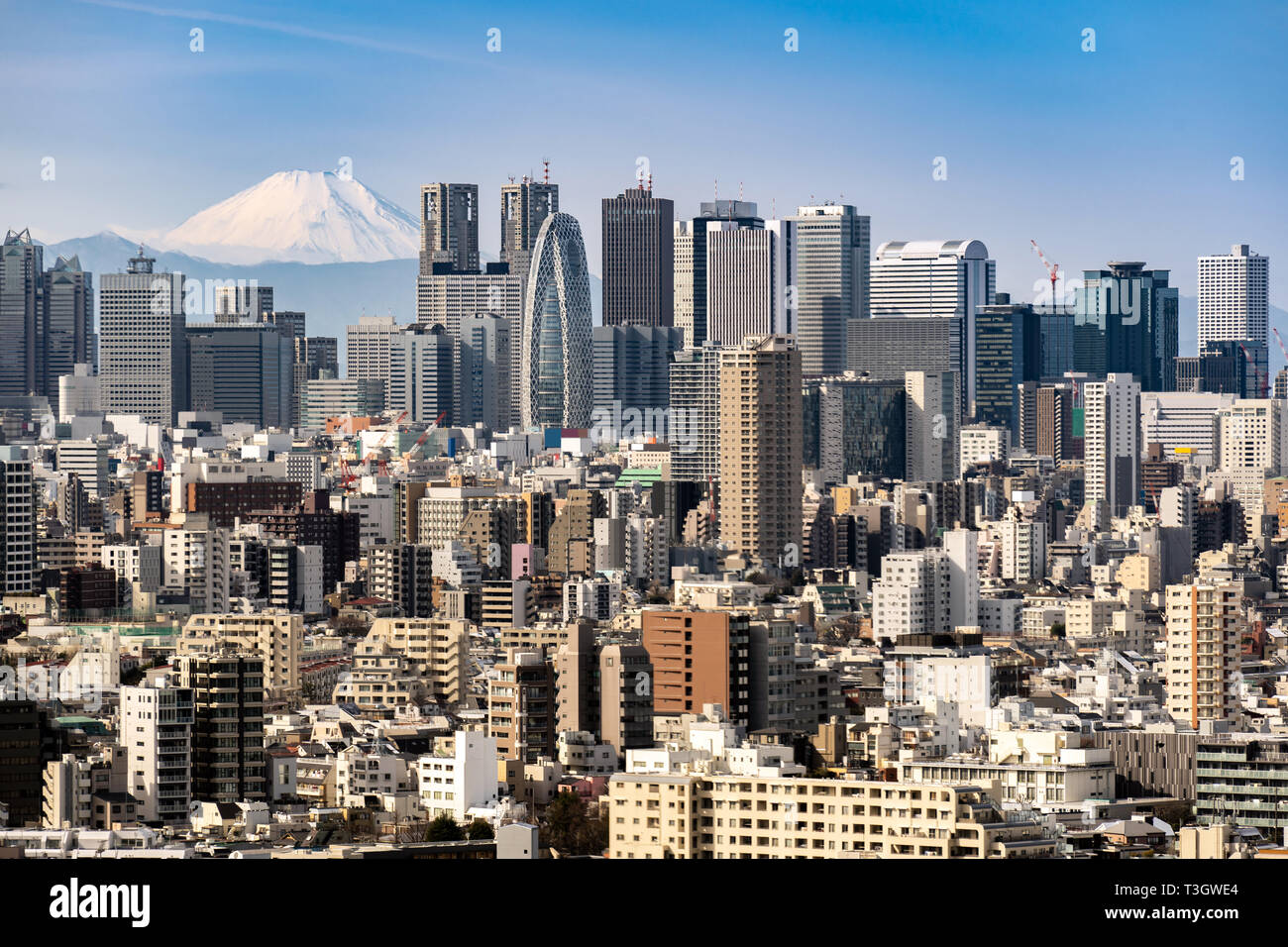 Mountain Fuji with Tokyo skylines and skyscrapers buildings in Shinjuku ward in Tokyo. Taken from Tokyo Bunkyo civic center observatory sky desk. Stock Photo