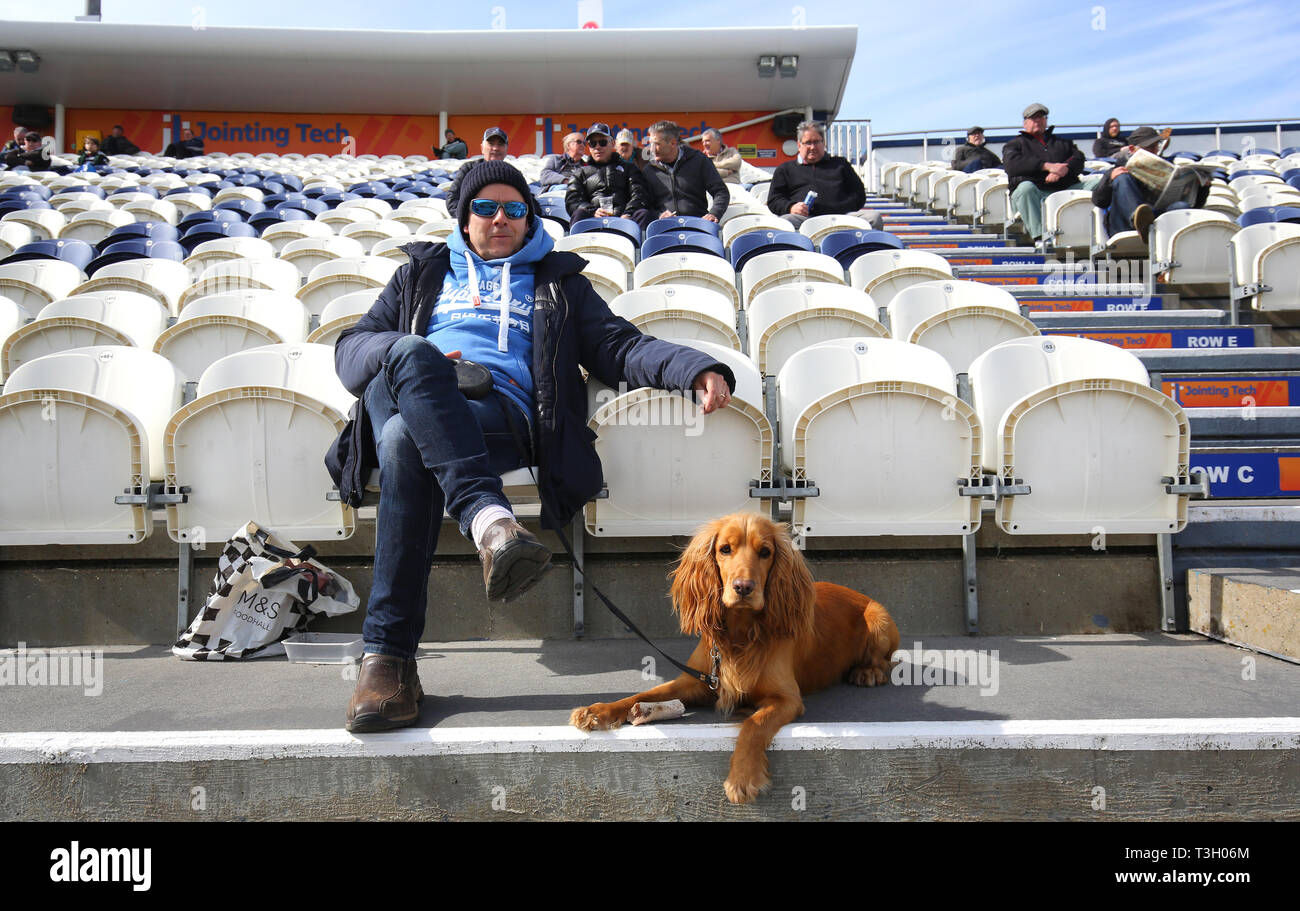 One man and his dog take their seats for day one of Specsavers County Championship Division Two match at the 1st Central County Ground, Hove. Stock Photo