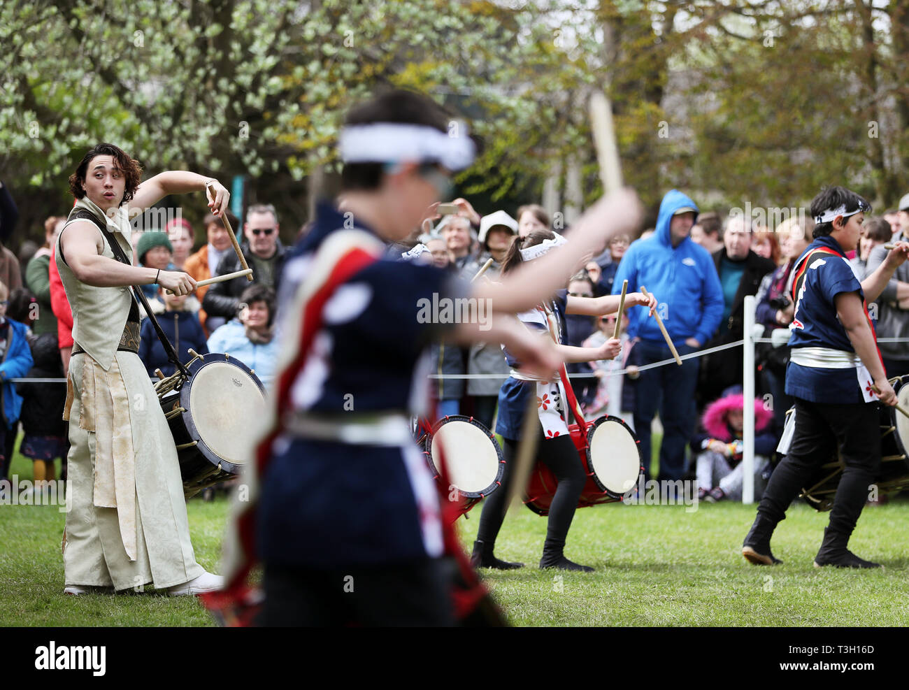 A Taiko Drums performance at the Japanese Hanami festival in the grounds of Farmleigh House in Dublin's Phoenix Park. Stock Photo