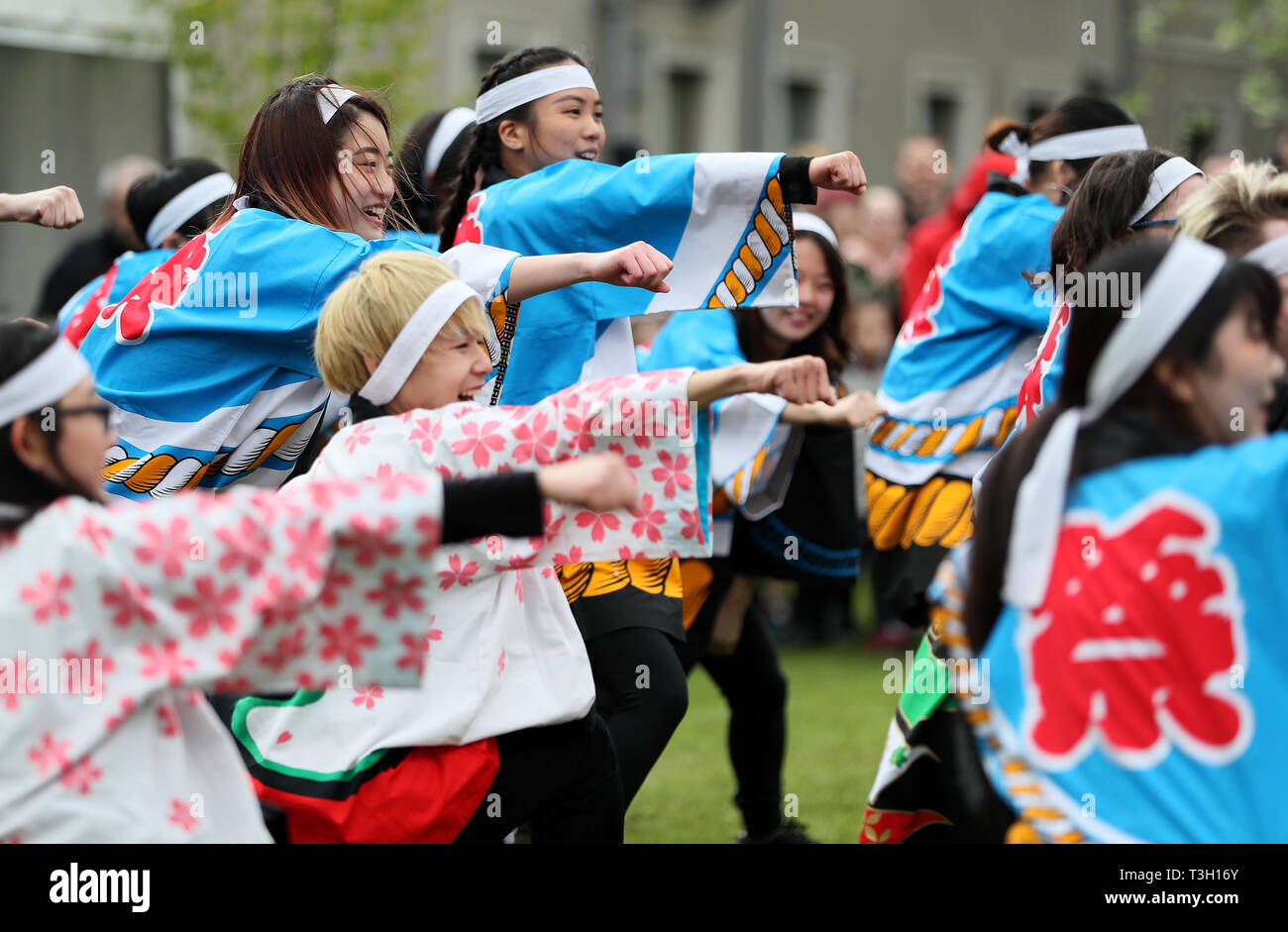 Soran Bushi performers from DCU at the Japanese Hanami festival in the grounds of Farmleigh House in Dublin's Phoenix Park. Stock Photo