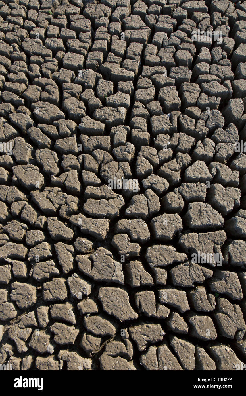 Abstract pattern of dry cracked clay mud in dried up lake bed / riverbed caused by prolonged drought in summer in hot weather temperatures Stock Photo