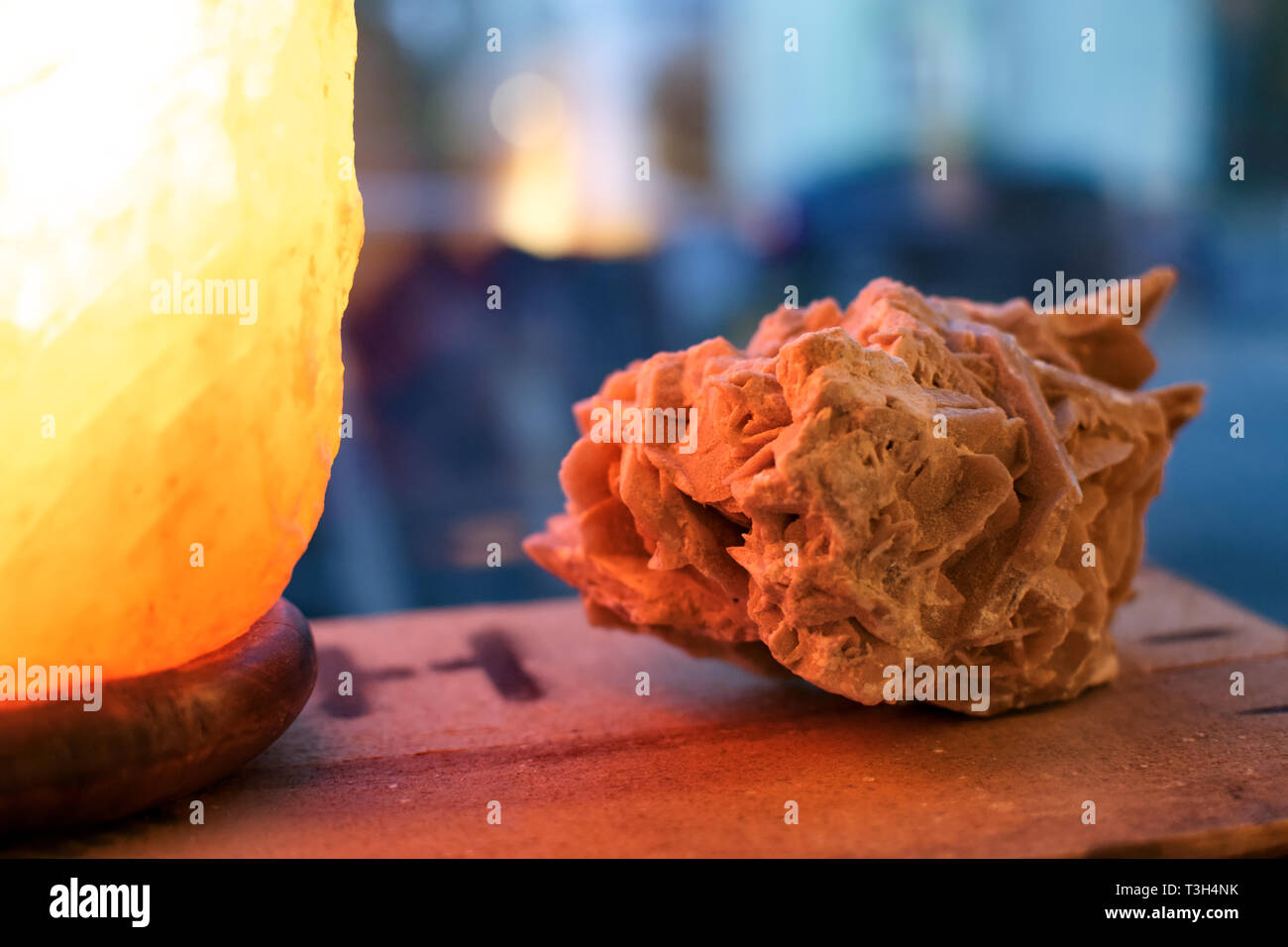 Desert rose isolated on white hi-res stock photography and images - Alamy