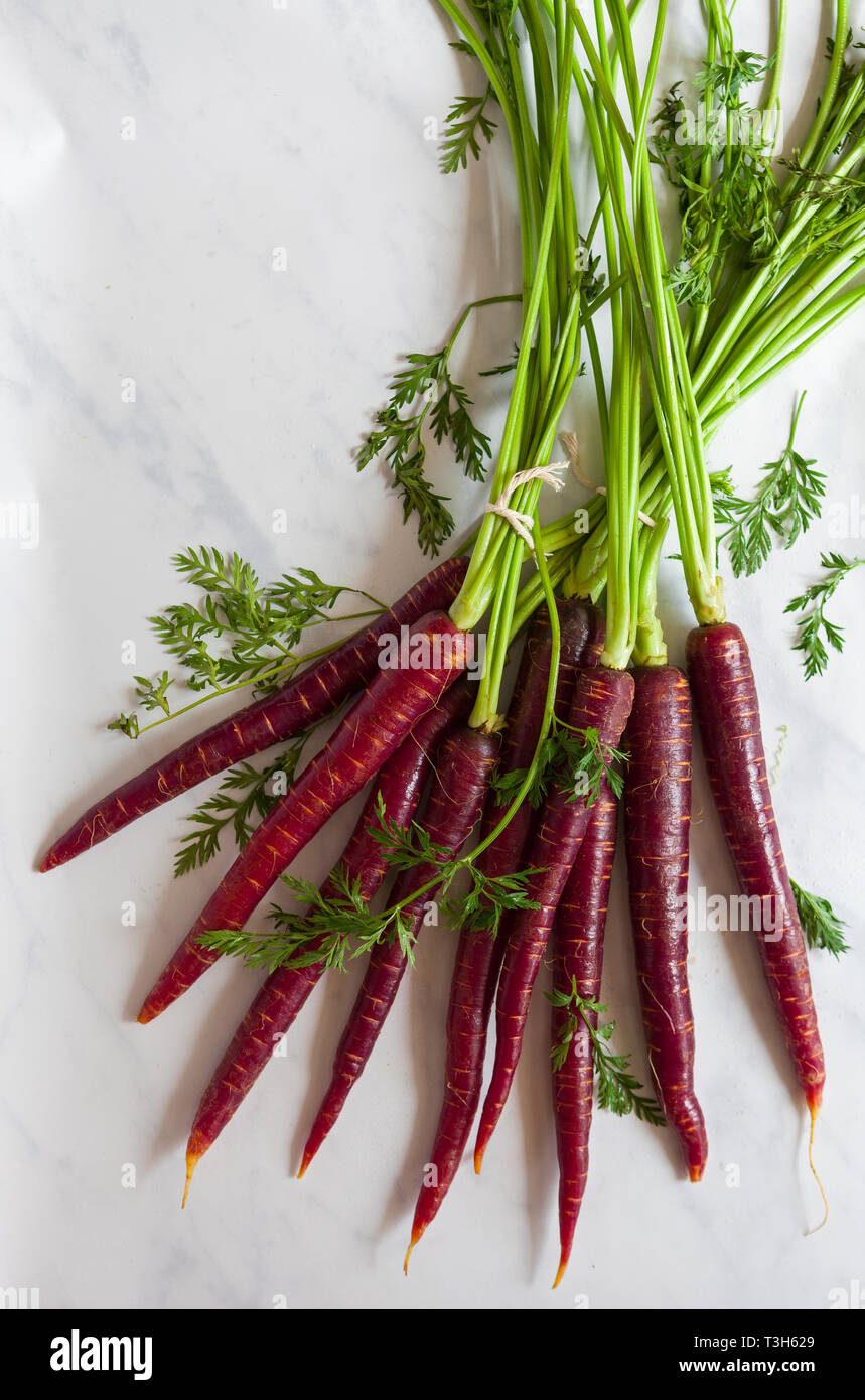 Fresh, organic raw purple carrots Stock Photo Alamy