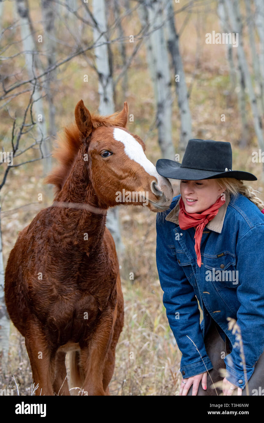 Cowgirl kiss with young colt Stock Photo - Alamy