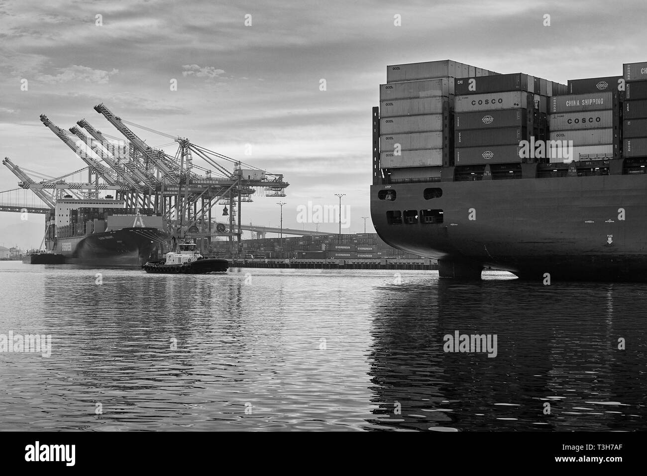 Black And White Photo Of The Port of Los Angeles, California, USA. Stock Photo