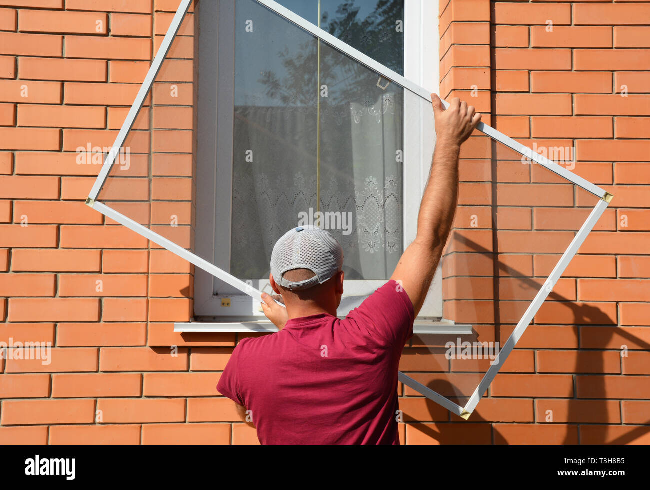 Contractor installing mosquito wire screen on house window to protect from insects. Mosquito wire screen installation. Stock Photo
