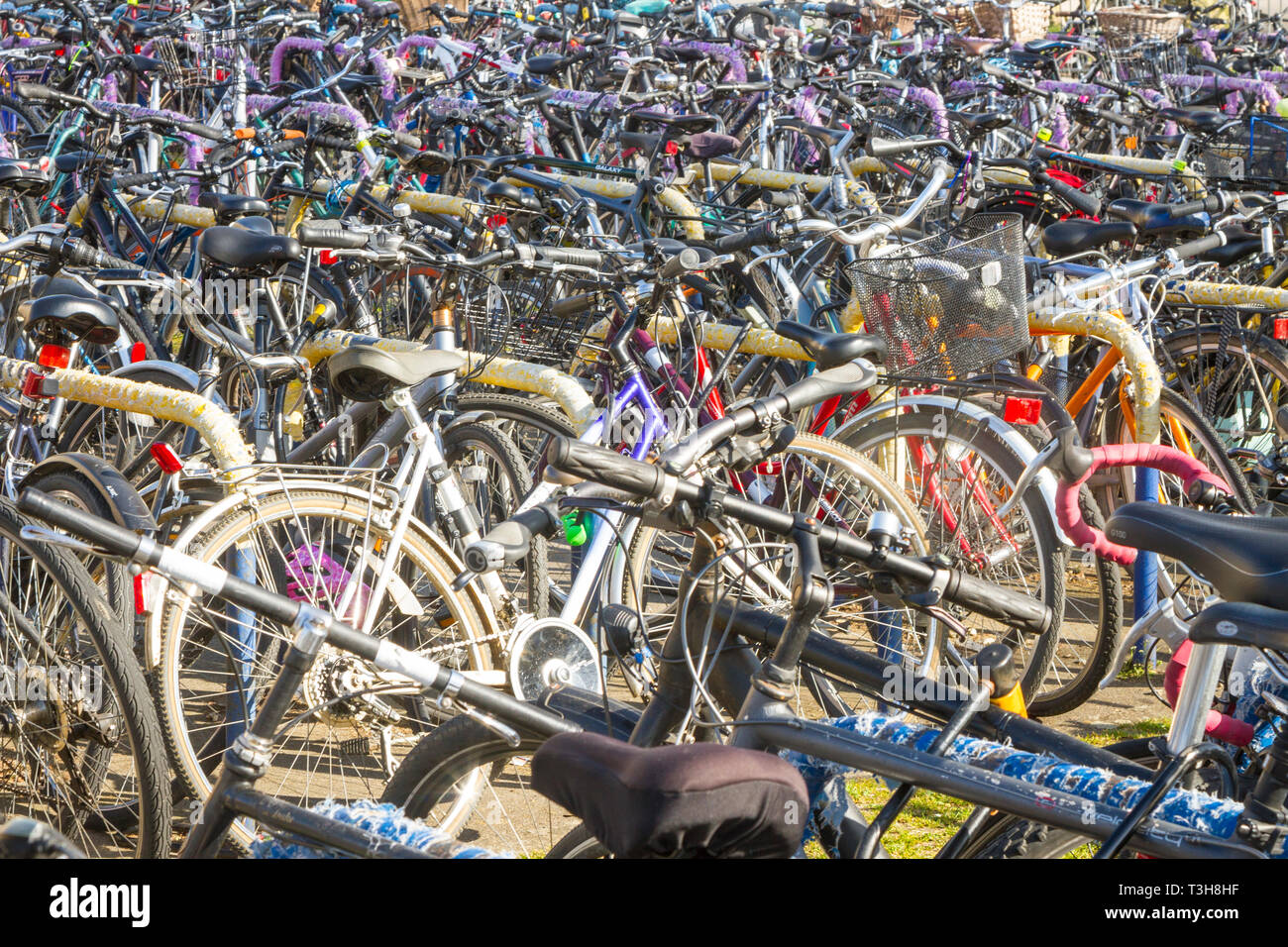 A forest of parked bicycles outside Oxford Railway Station Stock Photo