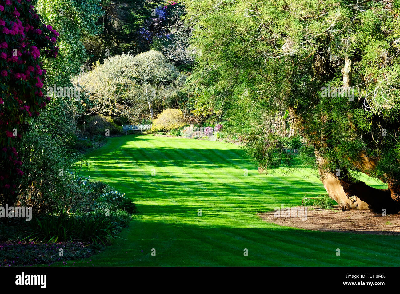 Landscaped formal garden hi-res stock photography and images - Alamy