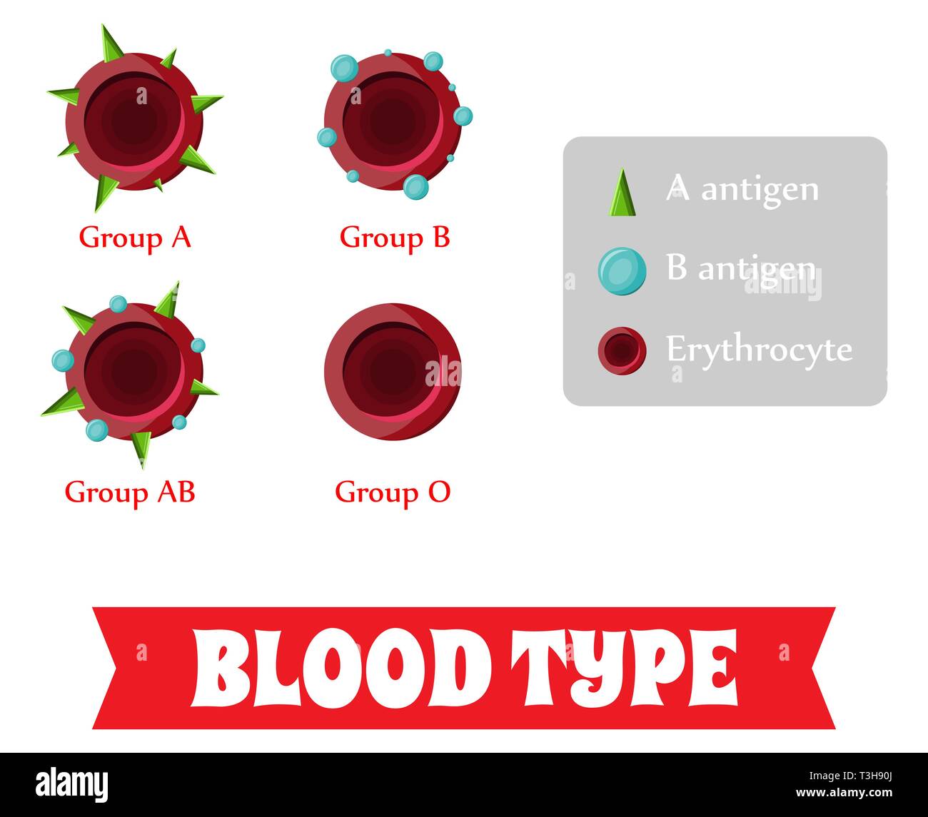 Blood Type Sticker Blood Type Info vrogue.co