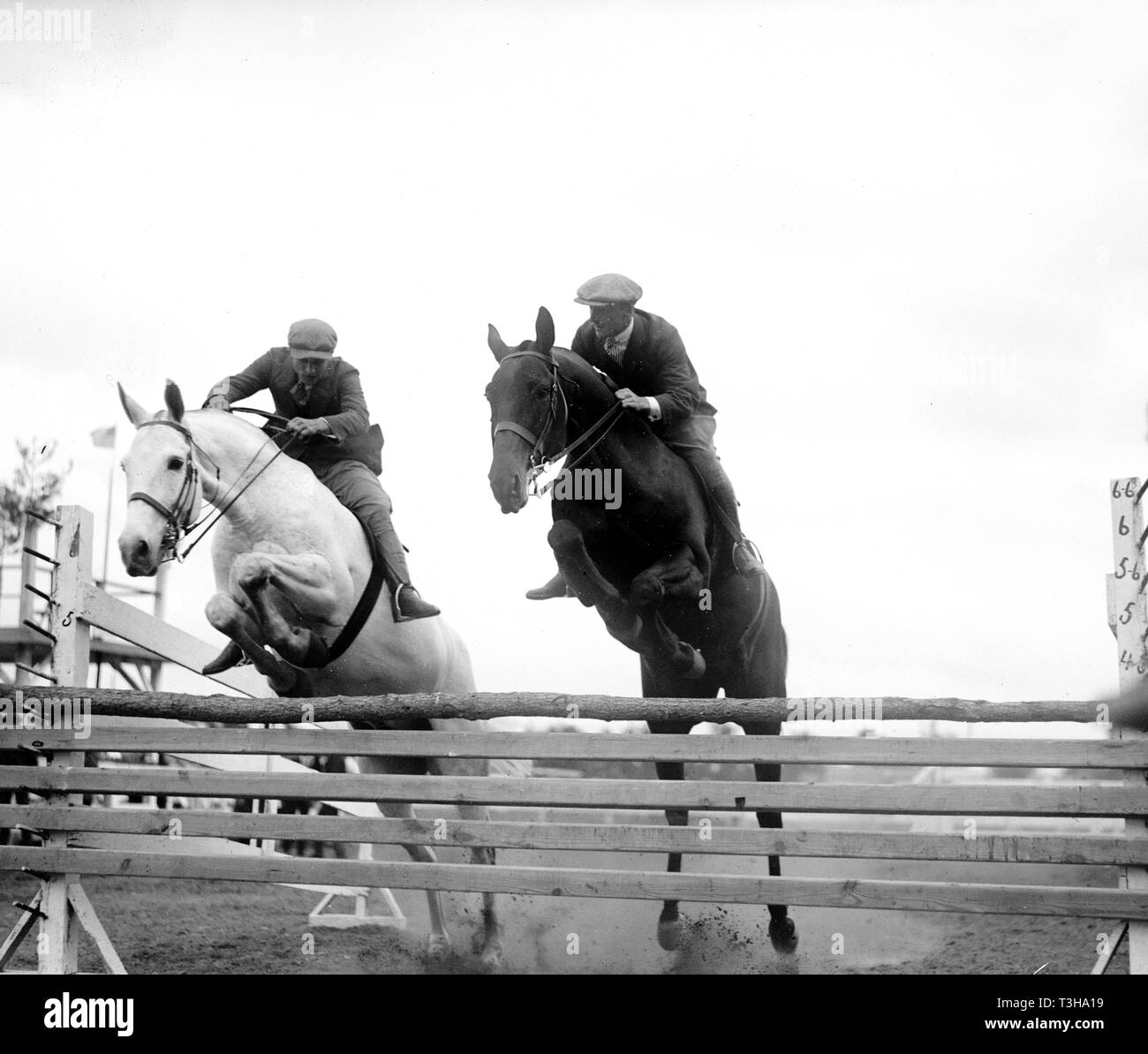 Horses jumping over rails in race ca. 1919 Stock Photo Alamy