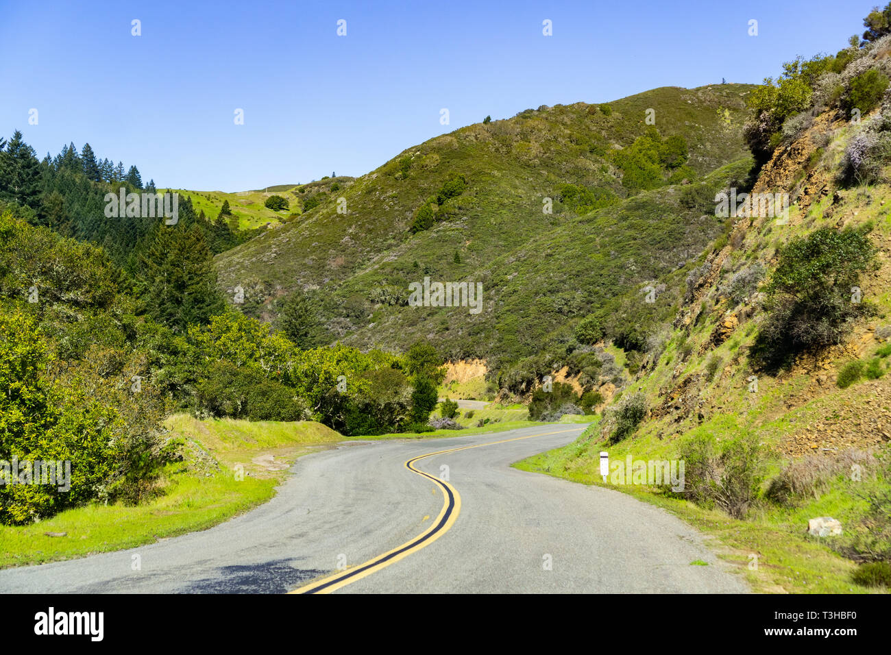 Scenic drive through the verdant hills of Marin County on a sunny spring  day, north San Francisco bay area, California Stock Photo - Alamy