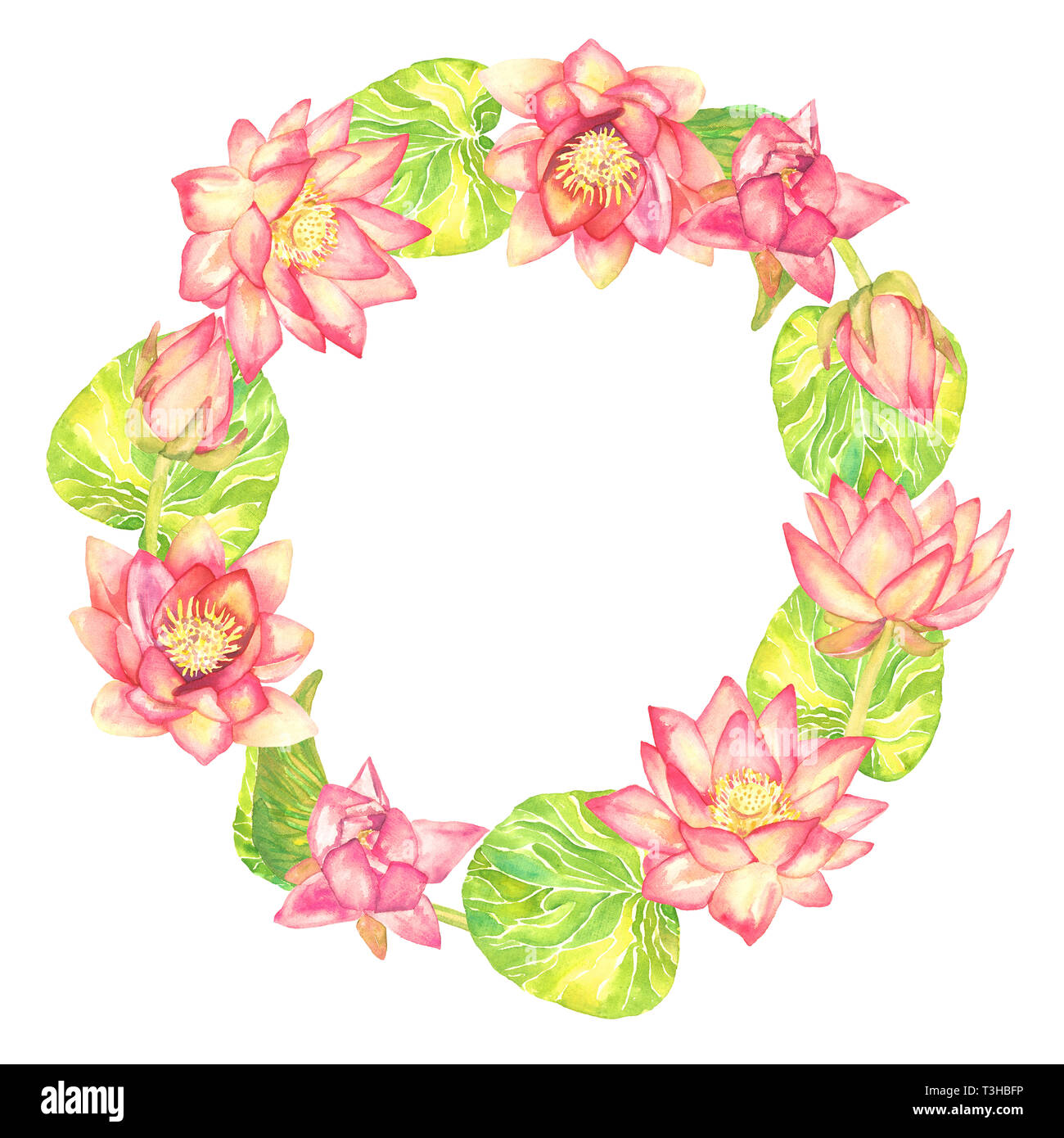 Circle Frame Greeting Card Design Of Pink Lotus Flowers On White