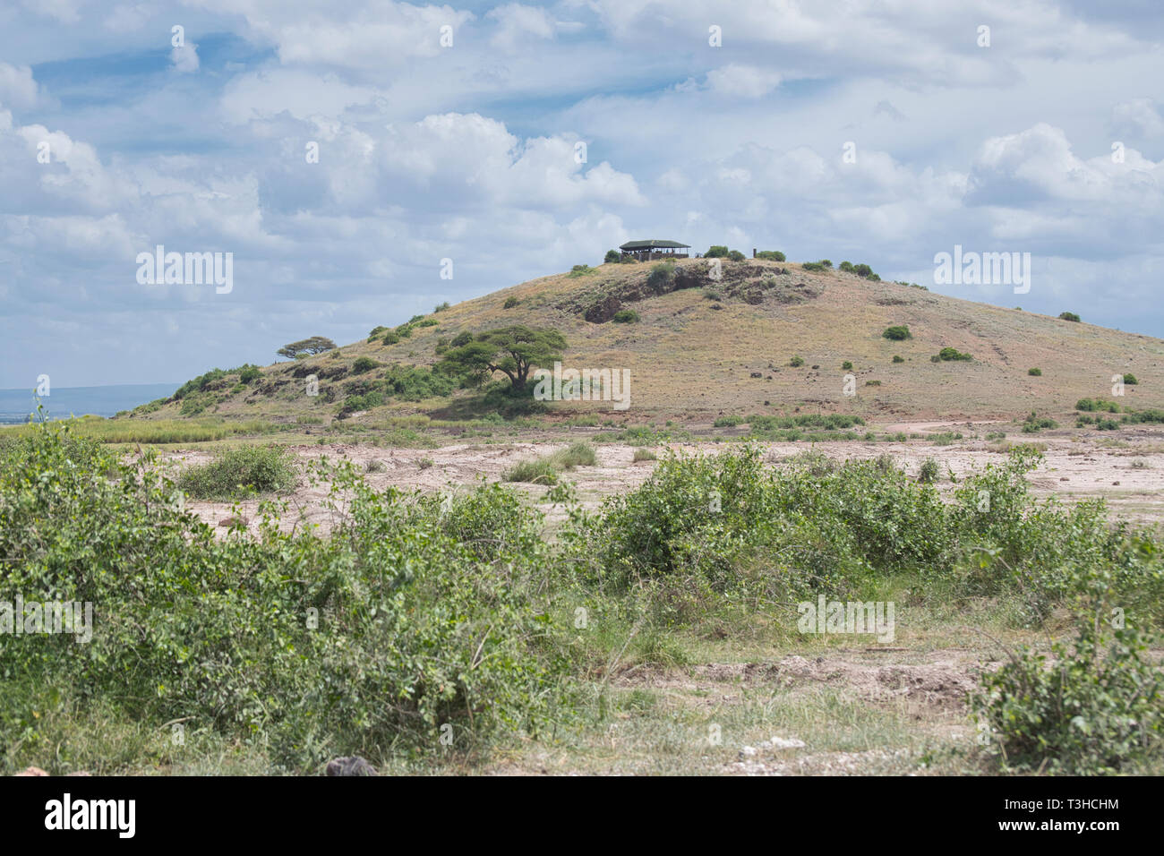 Observation Hill, Amboseli National Park, Kenya Stock Photo