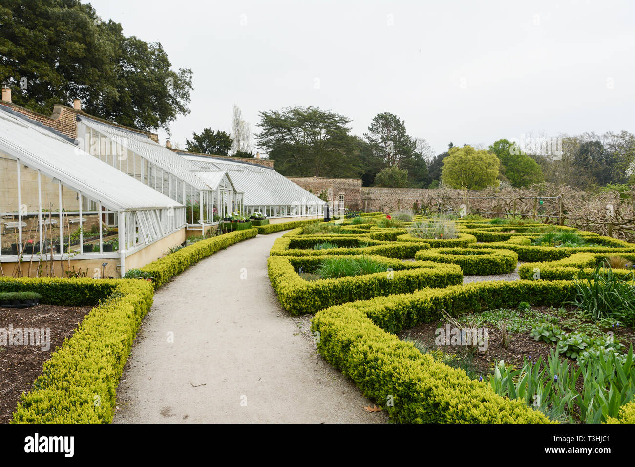 Vinery greenhouses in the Walled Gardens of Fulham Palace, the historic
