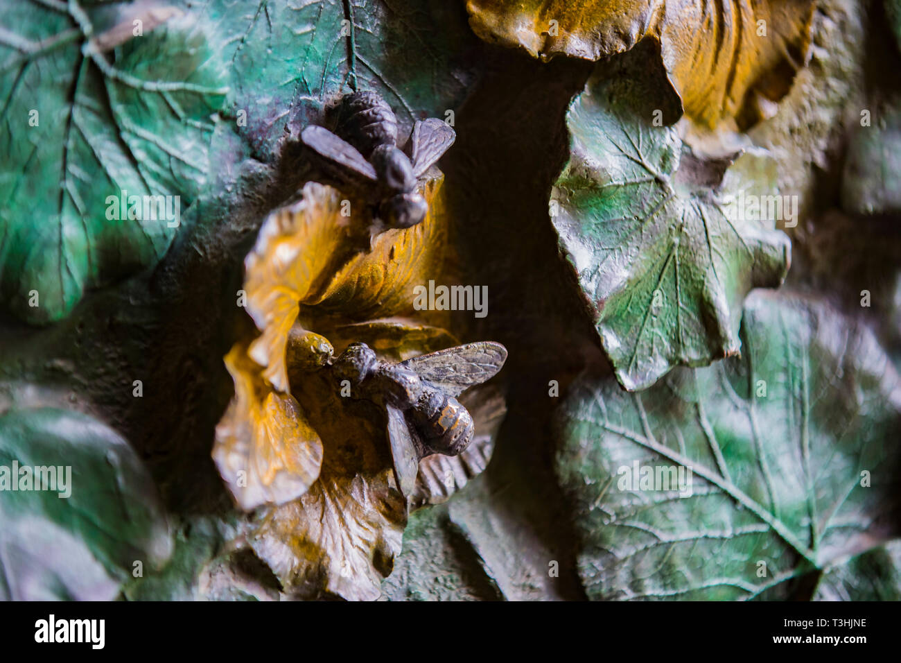 Insects metal gate hi-res stock photography and images - Alamy