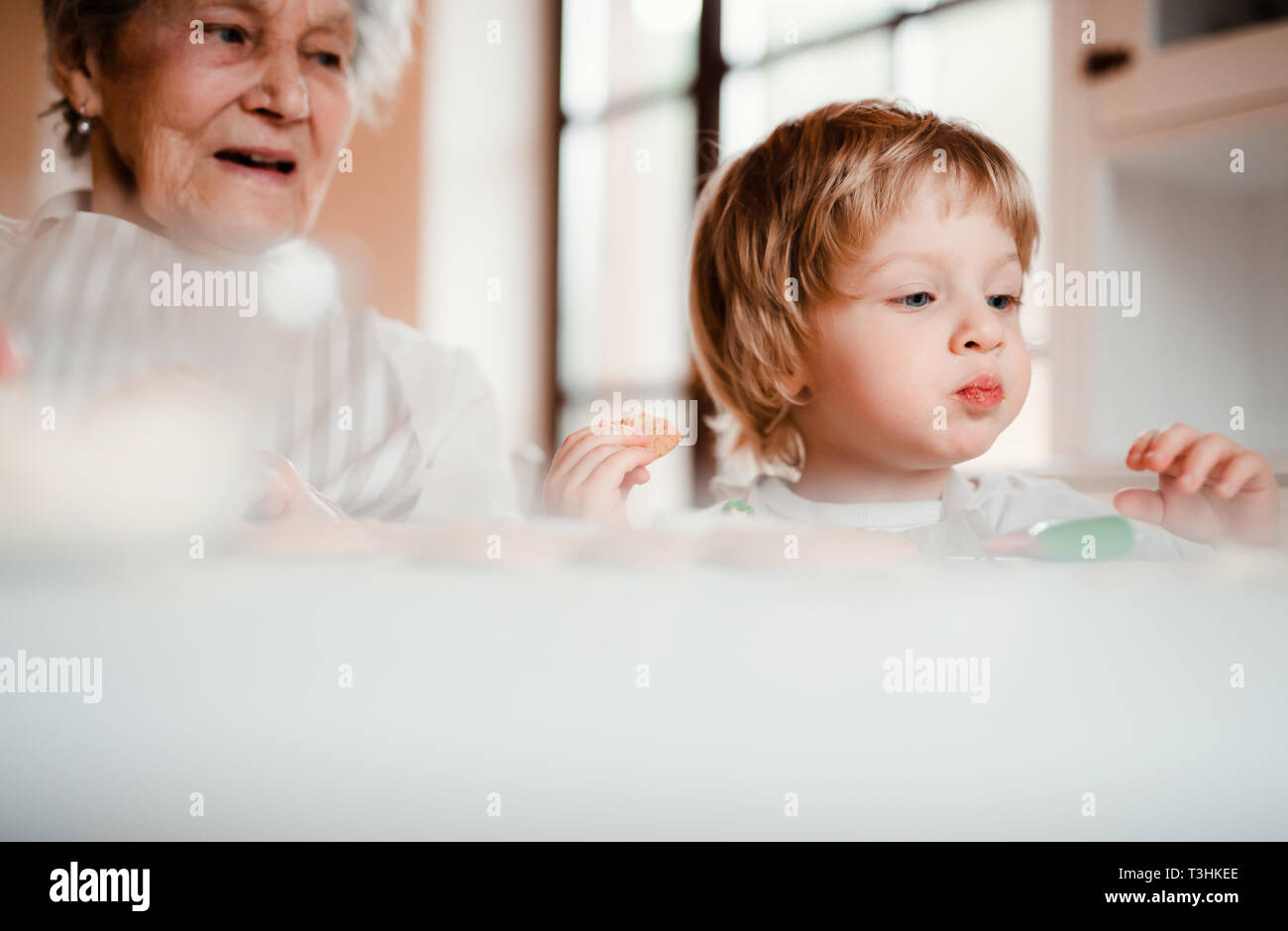 A senior grandmother with small toddler boy making cakes at home. Stock Photo