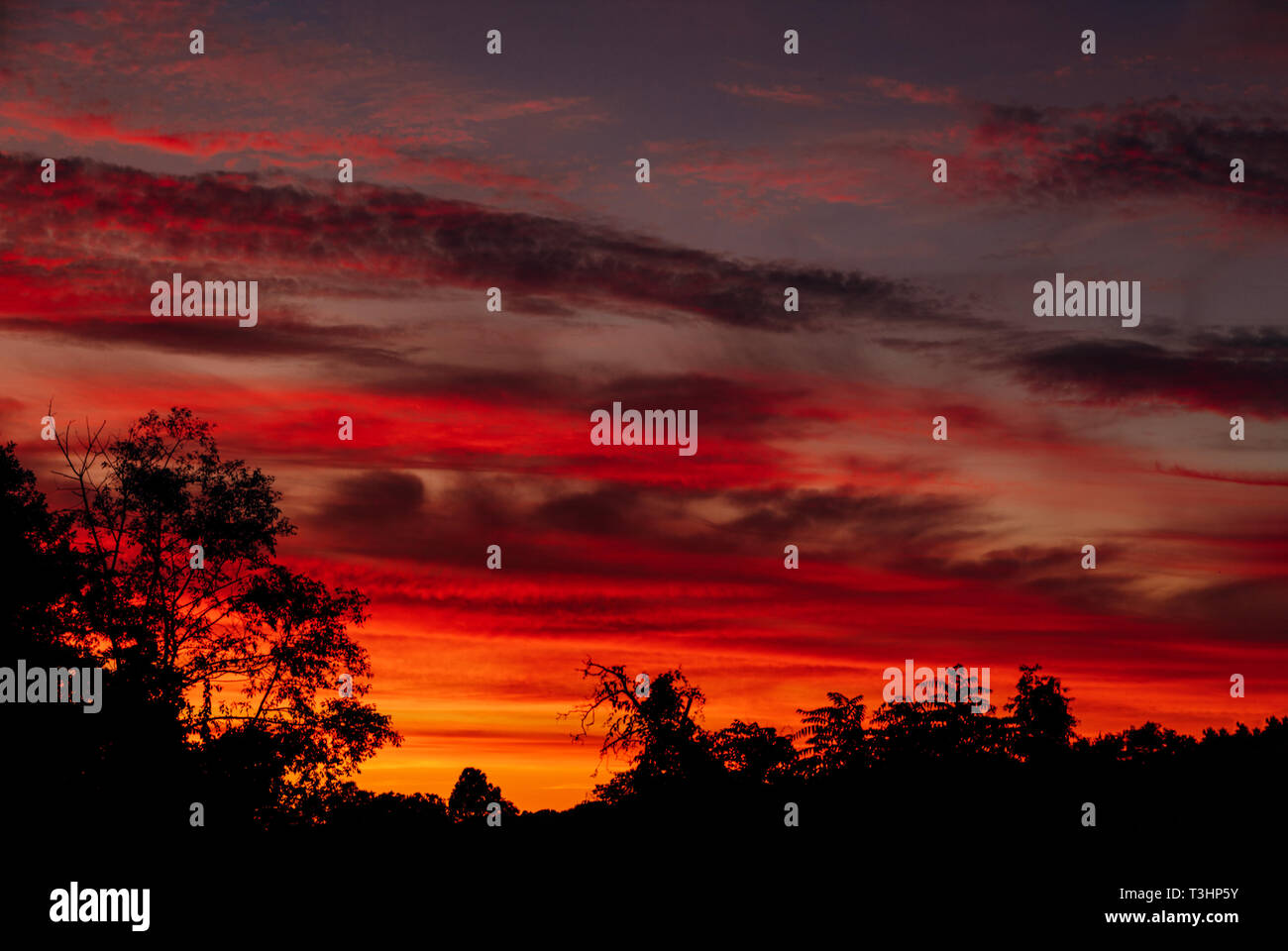 Dramatic sunset with pink and purple clouds and a blue sky Stock Photo ...