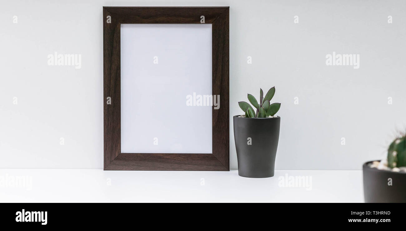 Empty dark photo frame and two succulents in dark pots on a white background. Scandinavian style MockUp Stock Photo
