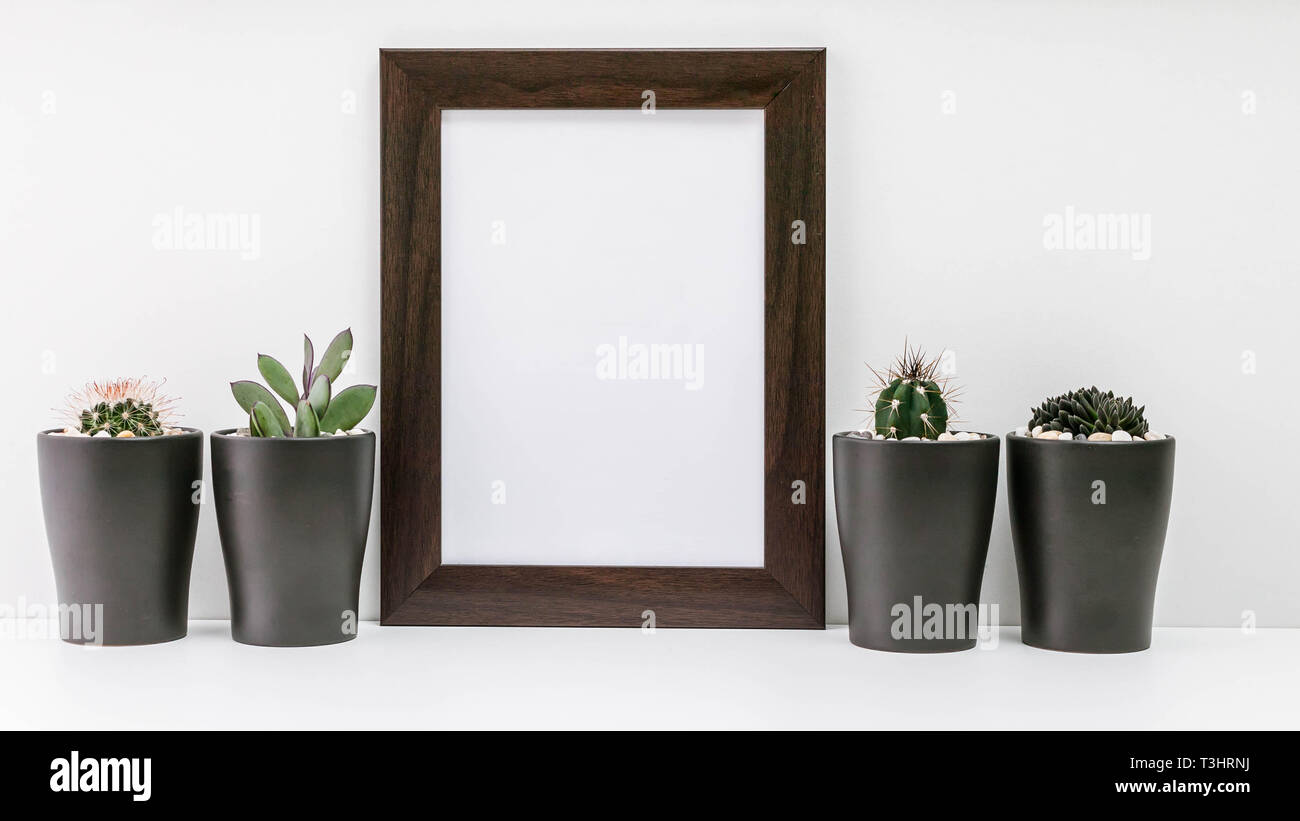 Empty dark photo frame, four succulents in dark pots on a white background. MockUp. Scandinavian style in the interior. Stock Photo