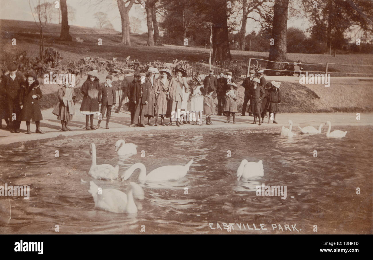 Vintage 1911 Photographic Postcard Showing People Watching The Swans on The Lake at Eastville Park, Bristol, England Stock Photo