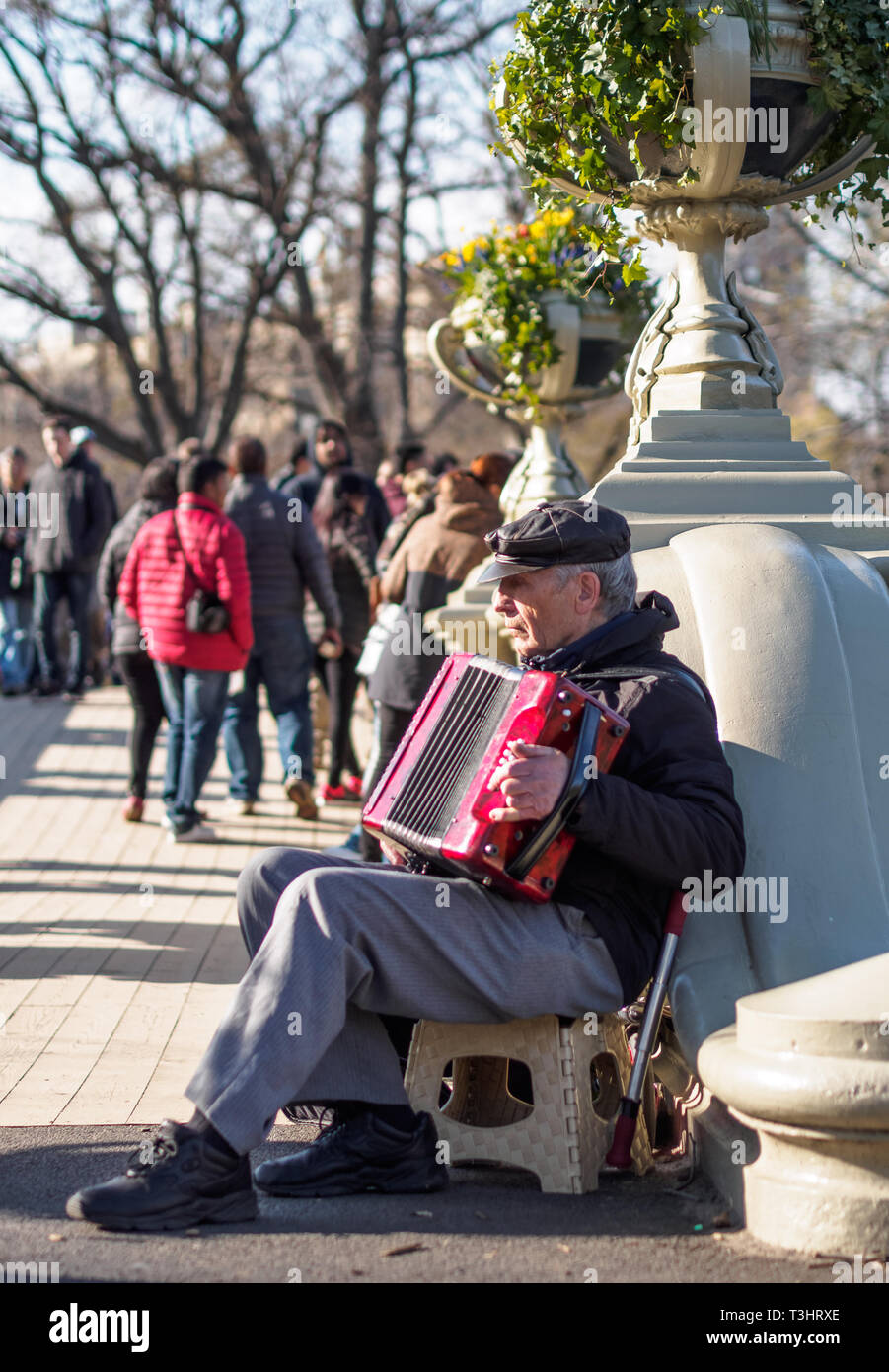 An accordionist playing accordion during a beautiful sunny autumn day at Central Park, New York City, USA Stock Photo