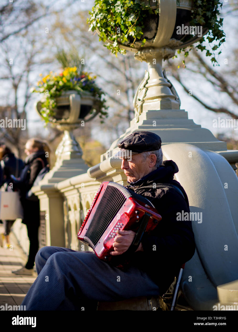 An accordionist playing accordion during a beautiful sunny autumn day at Central Park, New York City, USA Stock Photo
