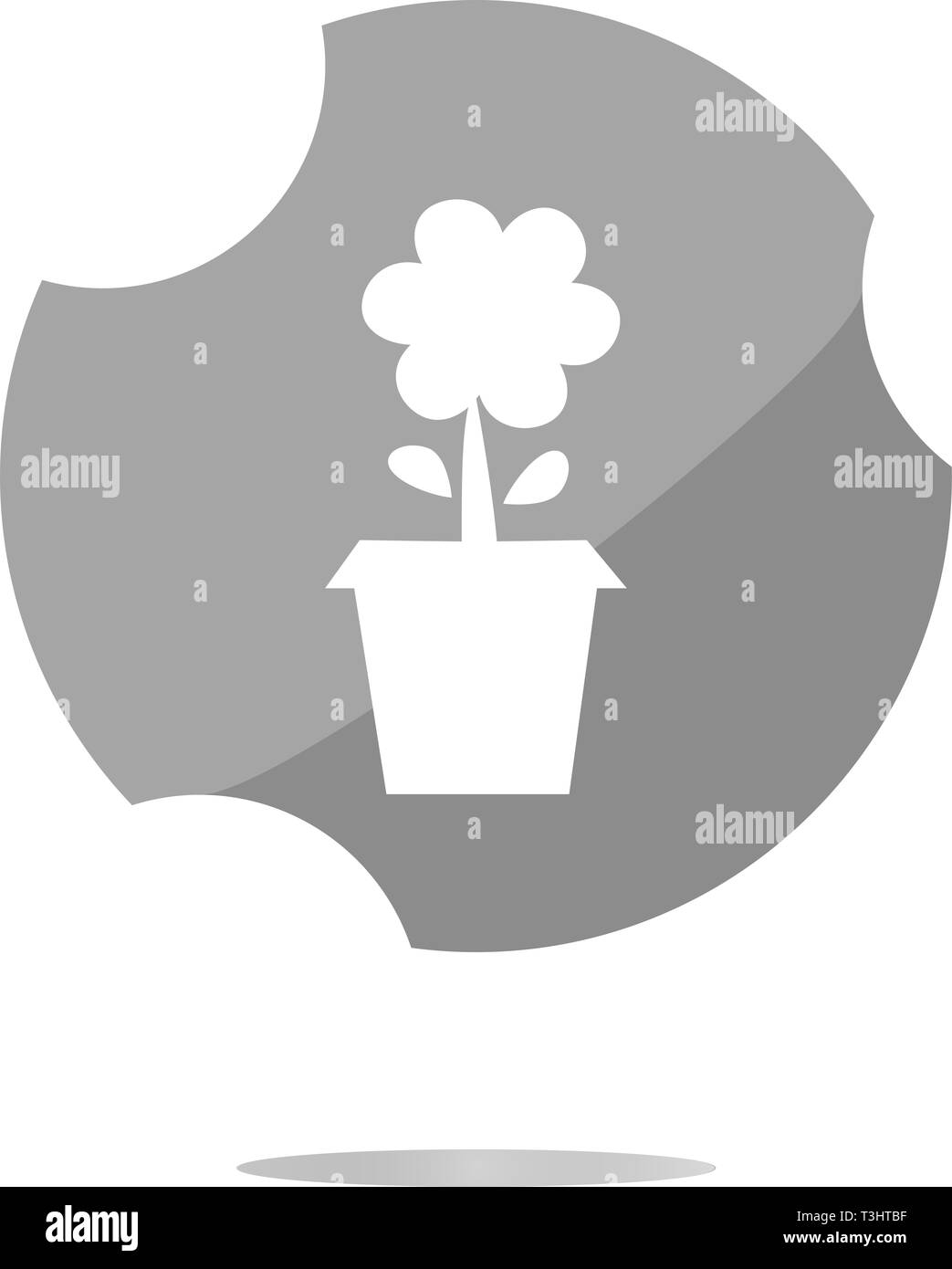 Plant in flower pot isolated on white Stock Photo - Alamy