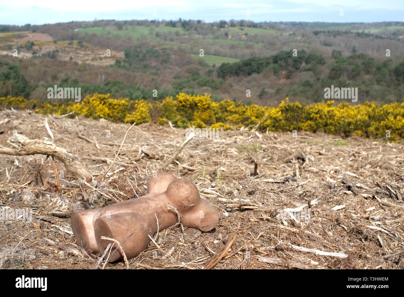 Discarded rubber sex toy in a beauty spot known for 'dogging'. Ashdown Forest, East Sussex, UK Stock Photo - Alamy Discarded rubber sex toy in a beauty spot known for 'dogging'. Ashdown Forest, East Sussex, UK Stock Photo - Alamy