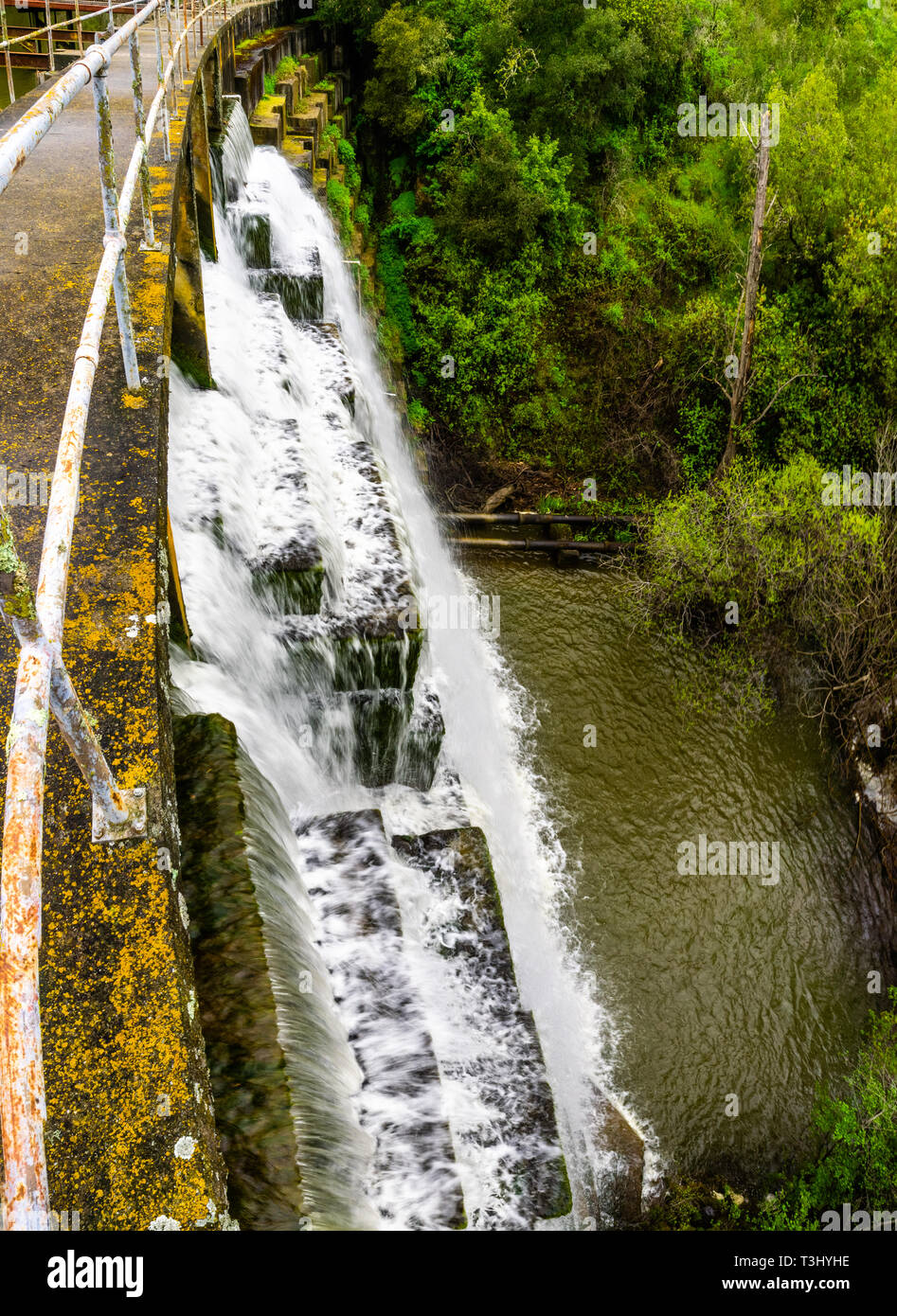 Searsville lake hires stock photography and images Alamy
