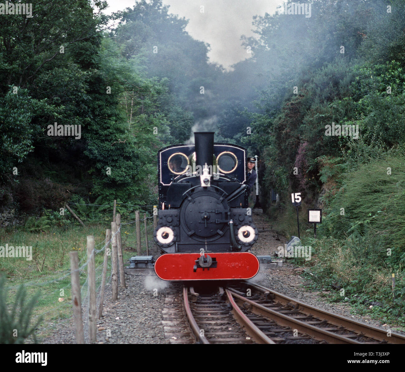 Steam Linda approaching TanYBwlch station on the