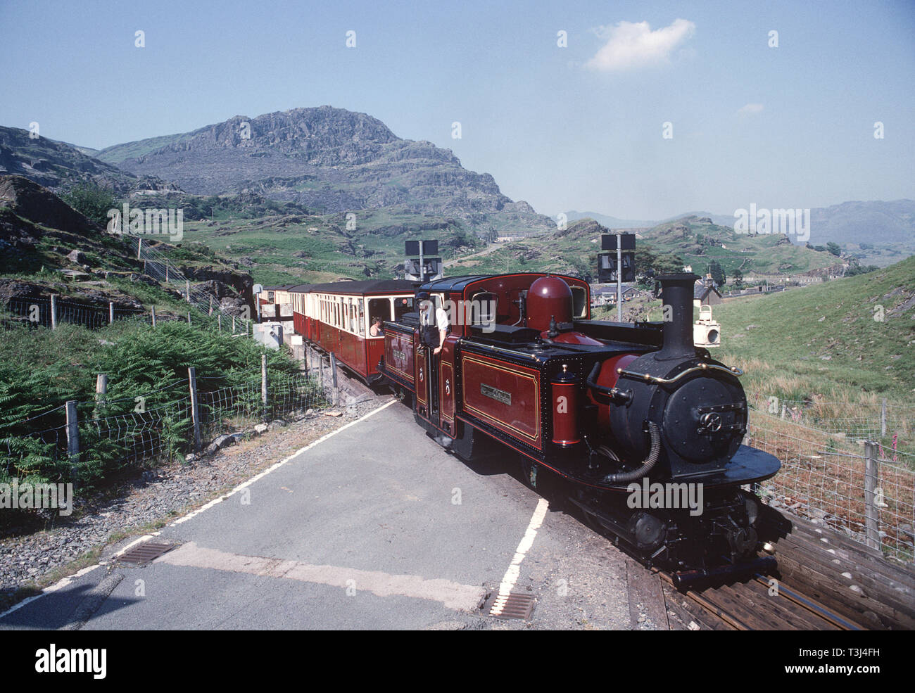 Steam Merddin Emrys on level crossing at Ffestiniog Railway