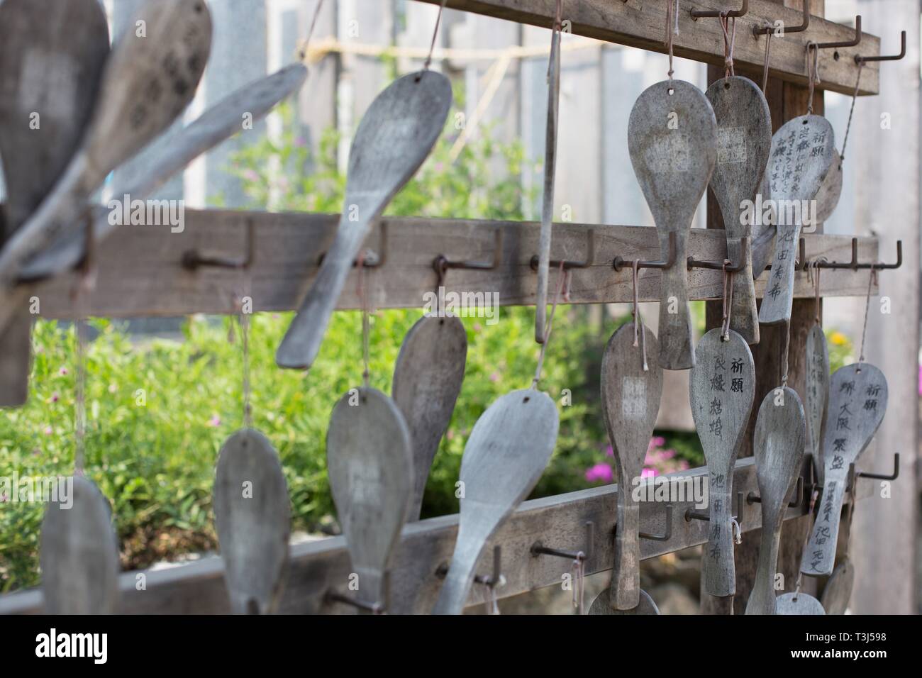 Wooden ema (prayer tablets) hanging in a shrine in a park in Sakai City, Osaka, Japan. Stock Photo