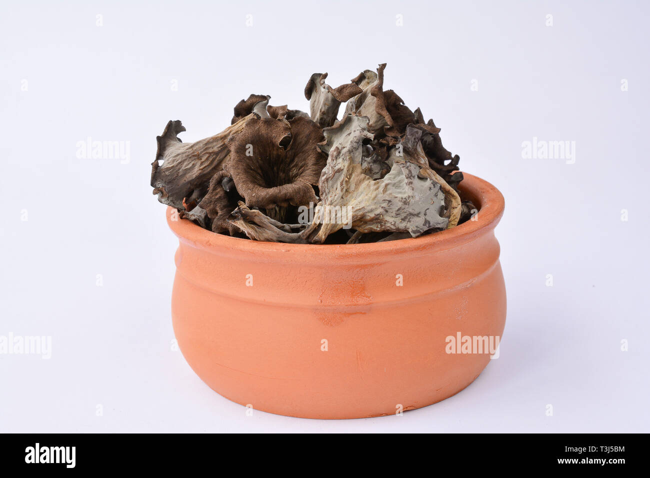 Dried edible Horn of Plenty musfrooms or Craterellus cornucopioides, over white Stock Photo