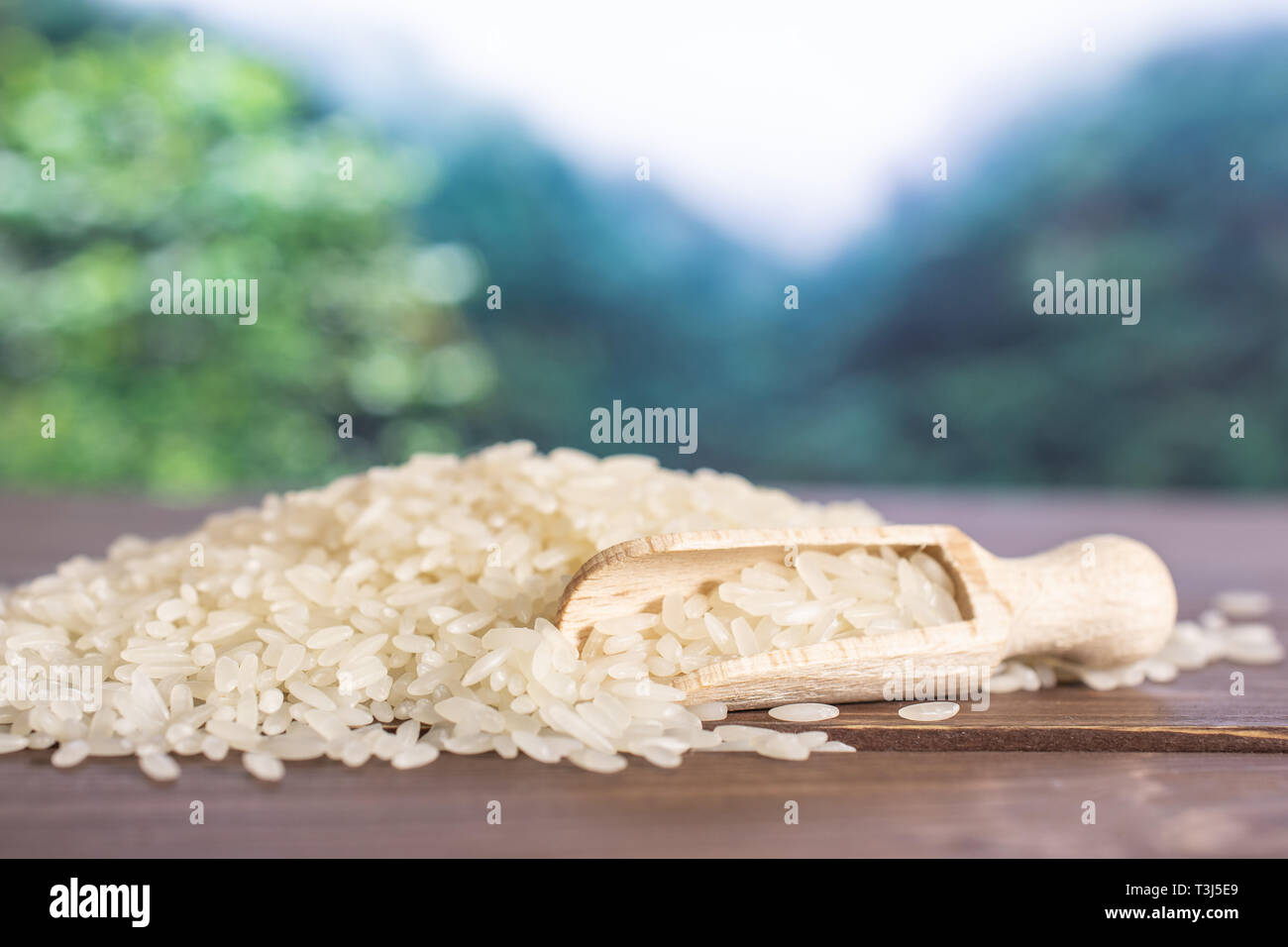 Lot of whole white jasmine rice grains with wooden scoop in a foggy