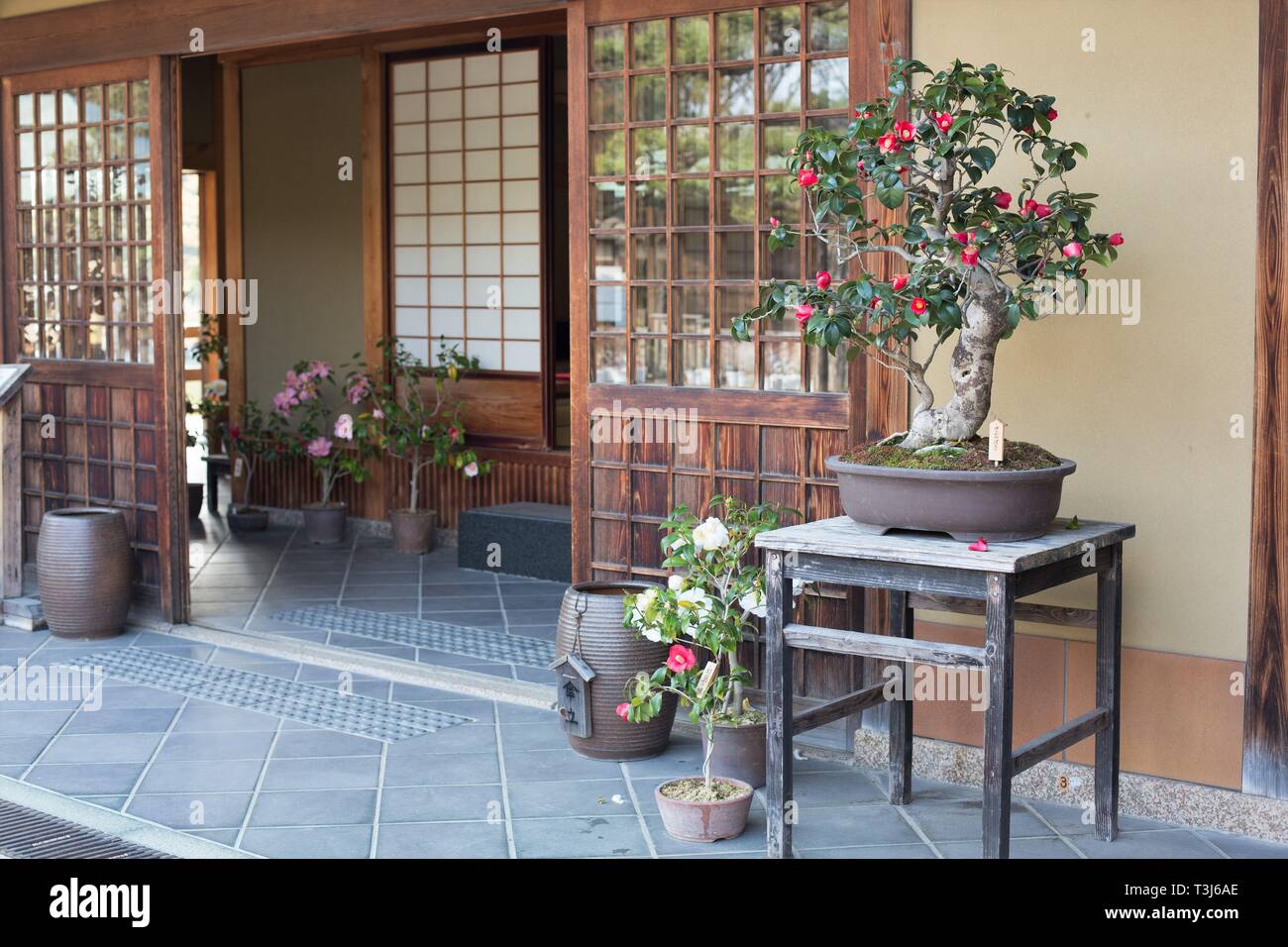 Blooming bonsai trees in the Japanese garden in Daisen park in Sakai