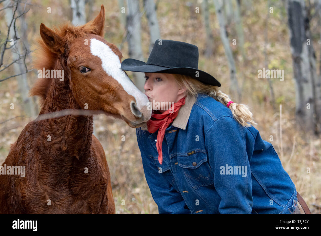 Cowgirl kiss with young colt Stock Photo - Alamy