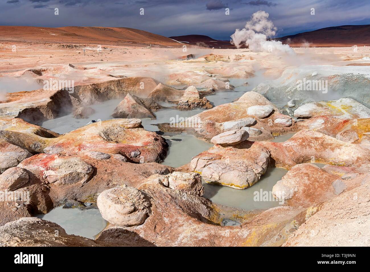 Sol de Manana Geysir, 4.861 m altitude, border to Chile, Andes, Departamento Potosi, Bolivia Stock Photo