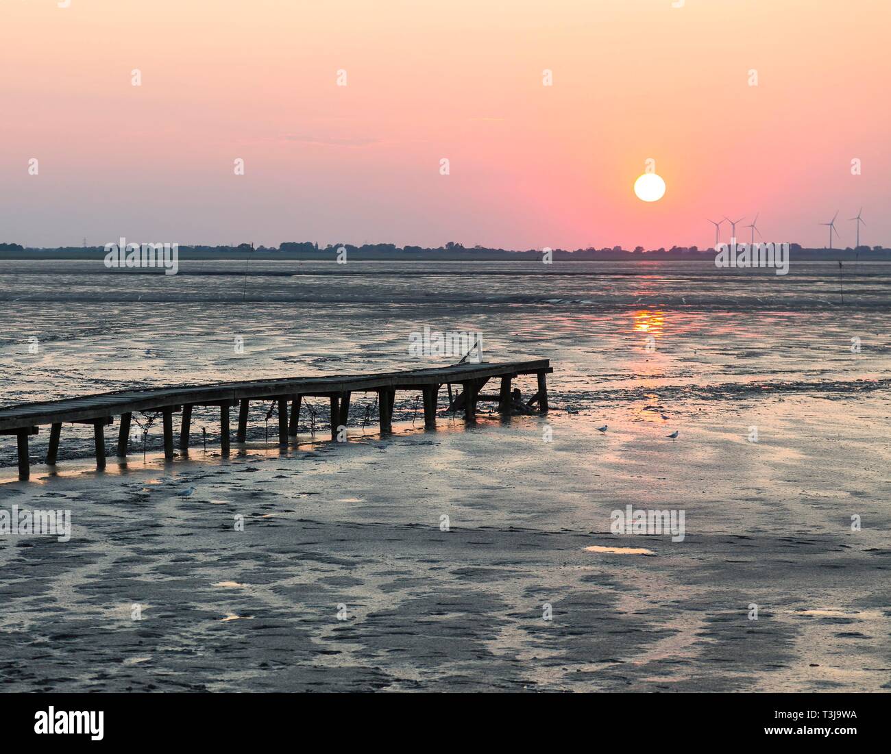 Sunset over the Wadden Sea at low tide, Dangast at Jadebusen, Friesland, Lower Saxony, Germany Stock Photo