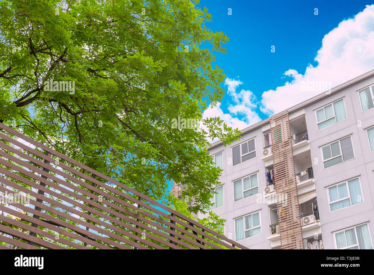 Image showcasing Revela | New Apartments in Mountain View, CA | Leasing Now!