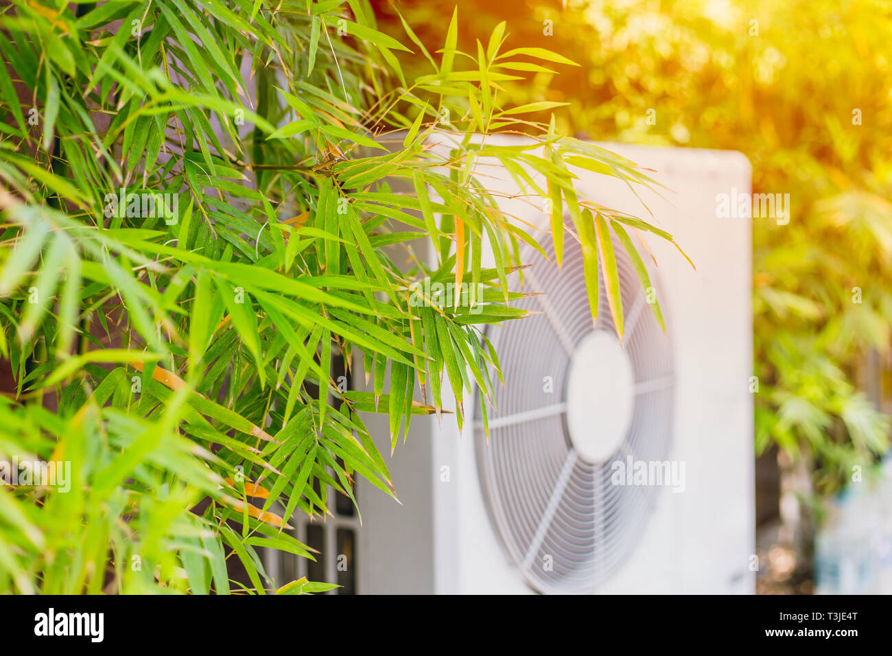 bamboo tree with air compressor for cooling home with nature to protect global warming concept. Stock Photo