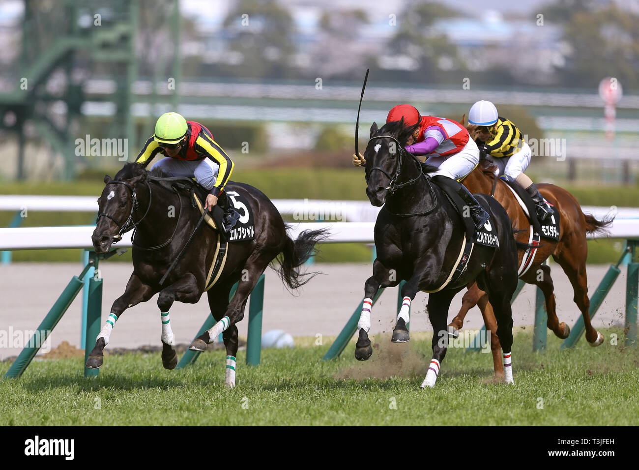 Hyogo, Japan. 6th Apr, 2019. (L-R) Erbschaft (Suguru Hamanaka), Eclair Sparkle (Yuga Kawada), Mozu Daddy (Manabu Sakai) Horse Racing : Erbschaft ridden by Suguru Hamanaka and Eclair Sparkle ridden by Yuga Kawada win in a dead heat in the Hanshin 9R Tanba Tokubetsu at Hanshin Racecourse in Hyogo, Japan . Credit: Eiichi Yamane/AFLO/Alamy Live News Stock Photo