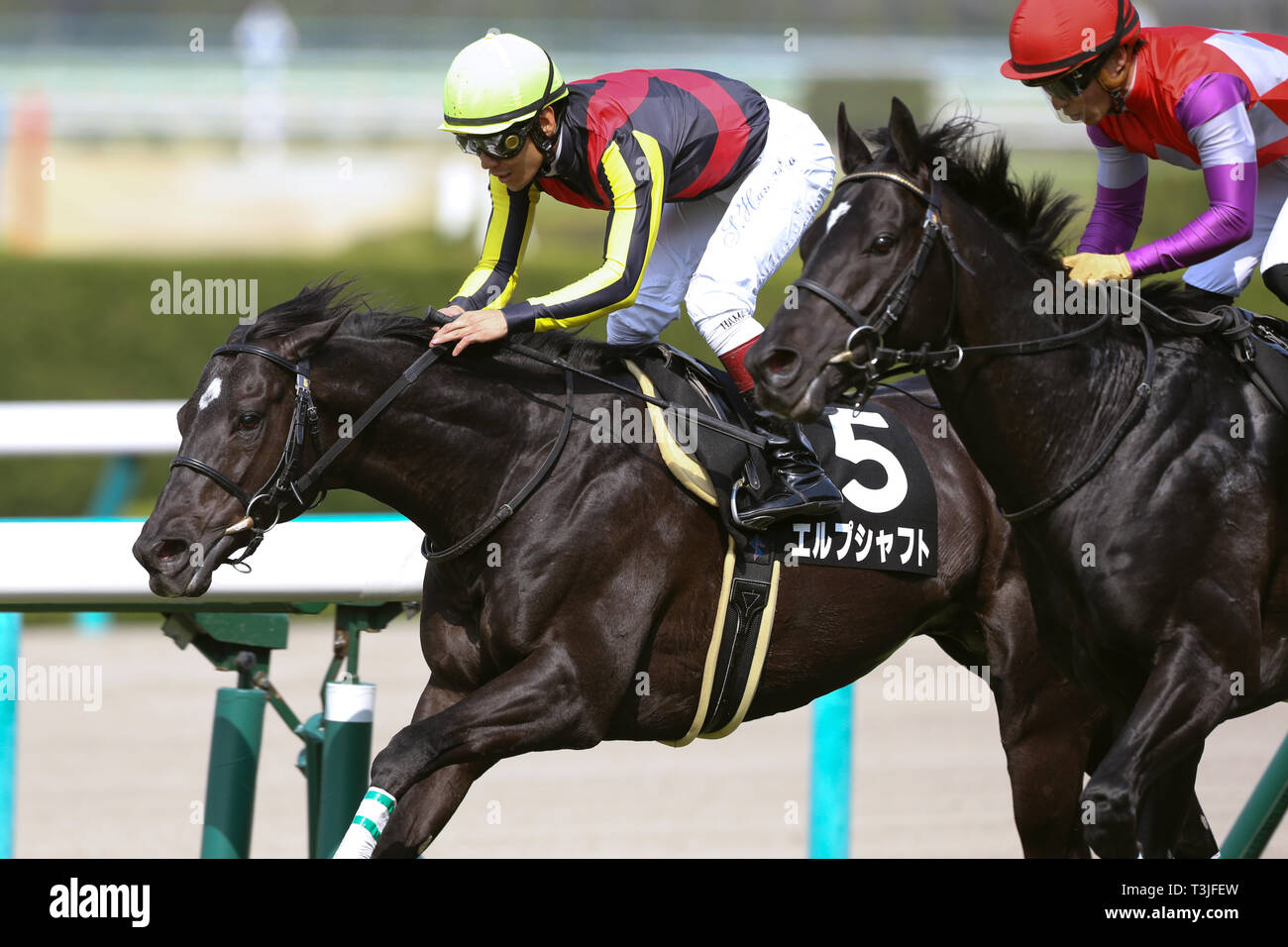 Hyogo, Japan. 6th Apr, 2019. (L-R) Erbschaft (Suguru Hamanaka), Eclair Sparkle (Yuga Kawada) Horse Racing : Erbschaft ridden by Suguru Hamanaka and Eclair Sparkle ridden by Yuga Kawada win in a dead heat in the Hanshin 9R Tanba Tokubetsu at Hanshin Racecourse in Hyogo, Japan . Credit: Eiichi Yamane/AFLO/Alamy Live News Stock Photo