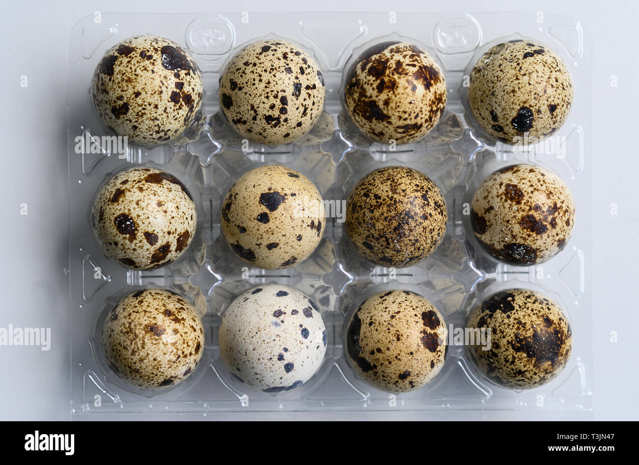Quail Eggs Illustration High Resolution Stock Photography And Images Alamy