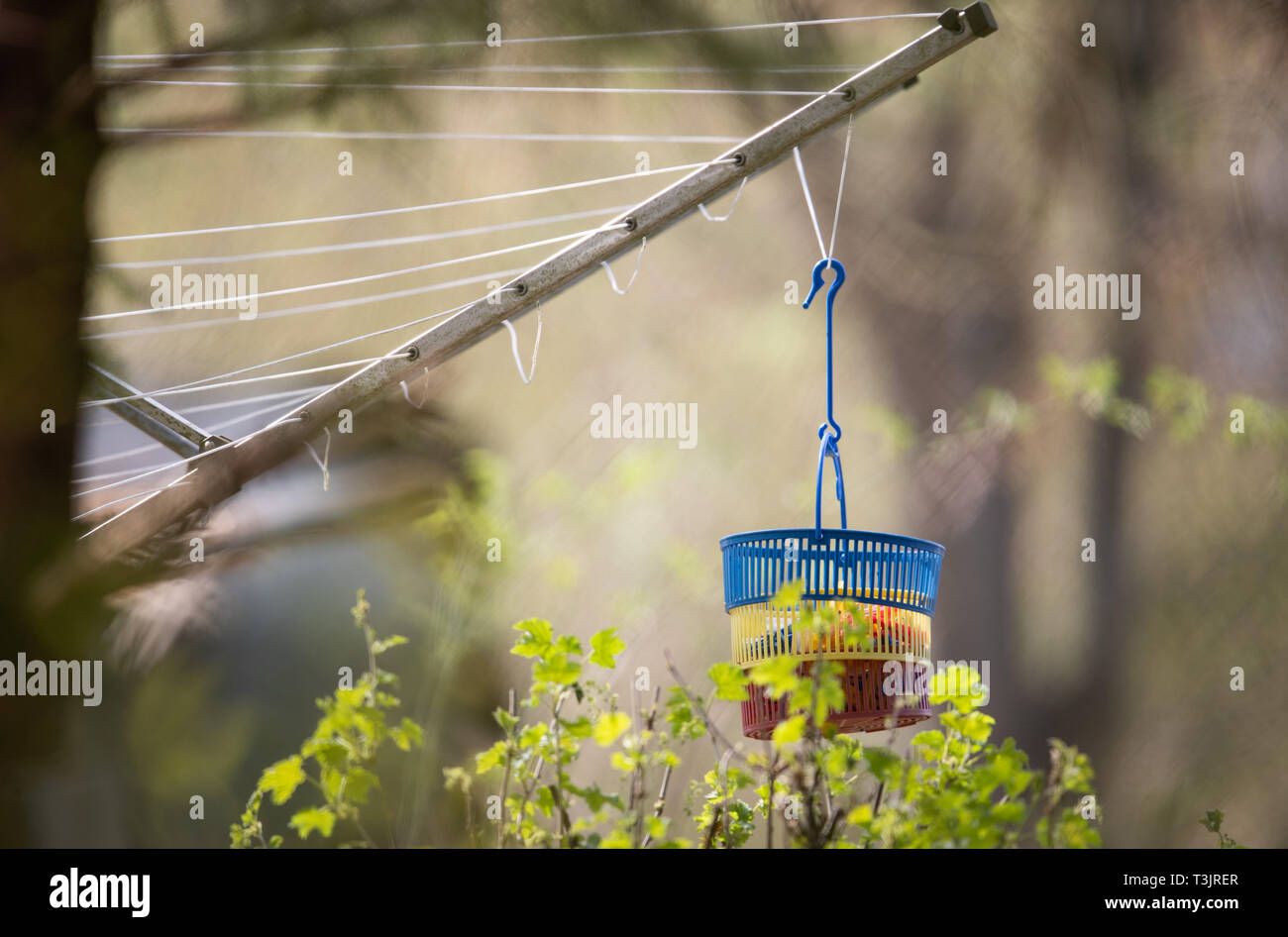 Lugde, Germany. 10th Apr, 2019. A bucket of clothespins hangs from a rotary clothes dryer next to the plot of land belonging to the alleged perpetrator at the Eichwald campsite in Elbrinxen. The campsite operator has the crime scene torn down. Children had been abused on the campsite in the district of Lippe. Photo: Friso Gentsch/dpa Credit: dpa picture alliance/Alamy Live News Stock Photo