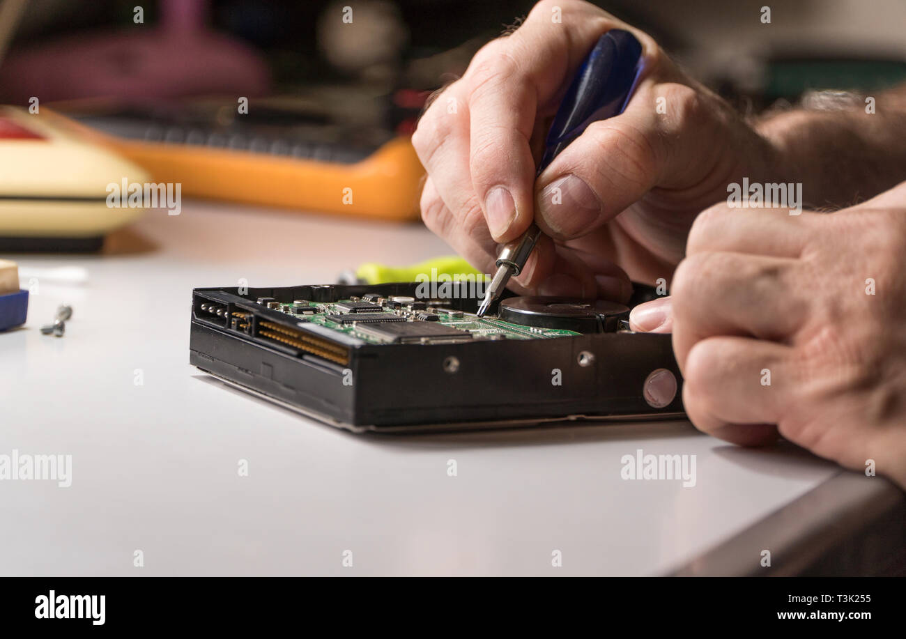 electronic engineer repairs computer hard drive. technologist with a screwdriver disassembles hdd Stock Photo