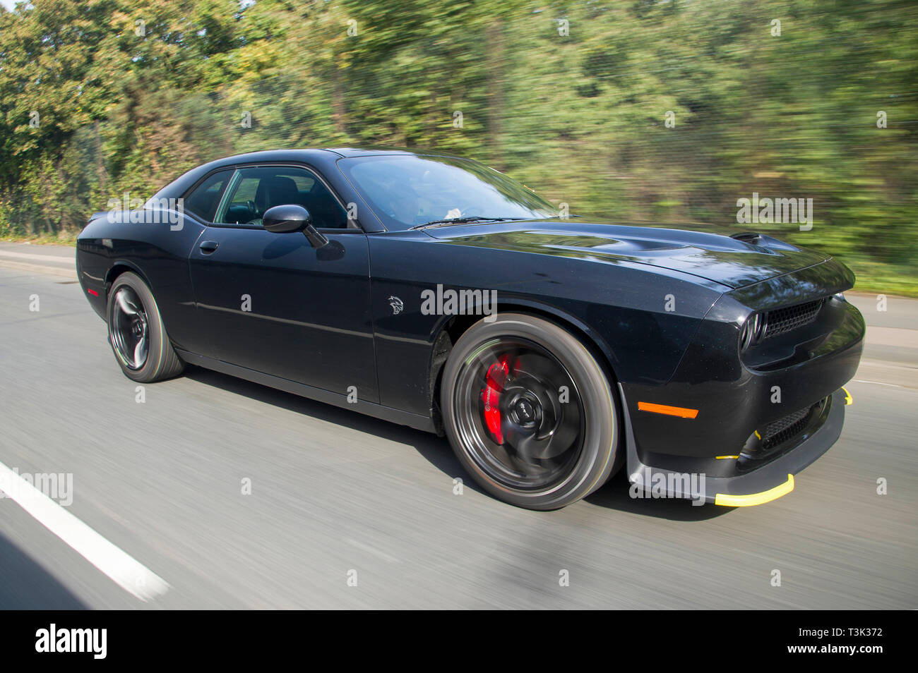 Challenger American Muscle
