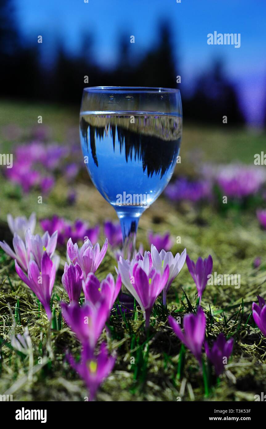 333d6ryc hires stock photography and images Alamy